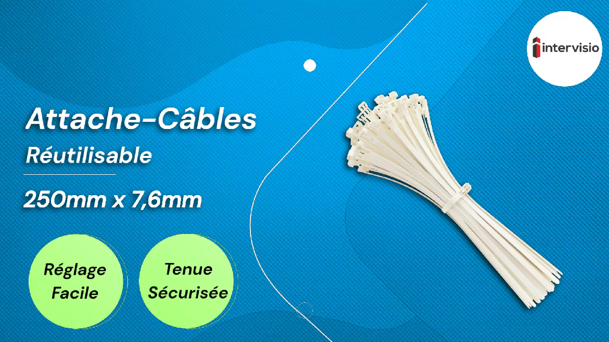 Lot D'Attaches Câble Rilsan Bleu 10cm - Paquet De 20 à 100 Pièces - Pour Organiser Et Fixer Les Fils