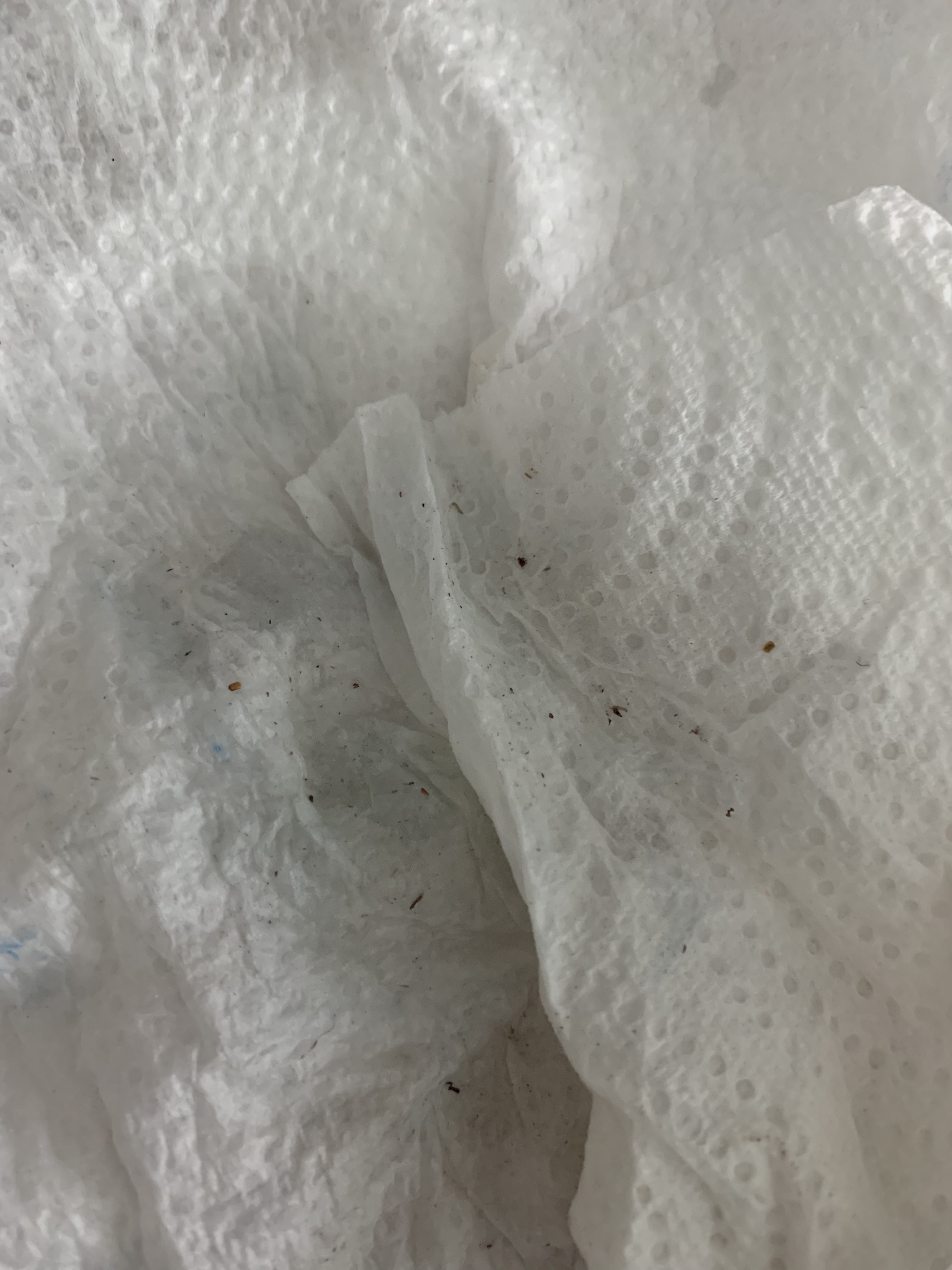 Kirkland Signature Spring Water 500 Ml, 40 Bottles Kenya