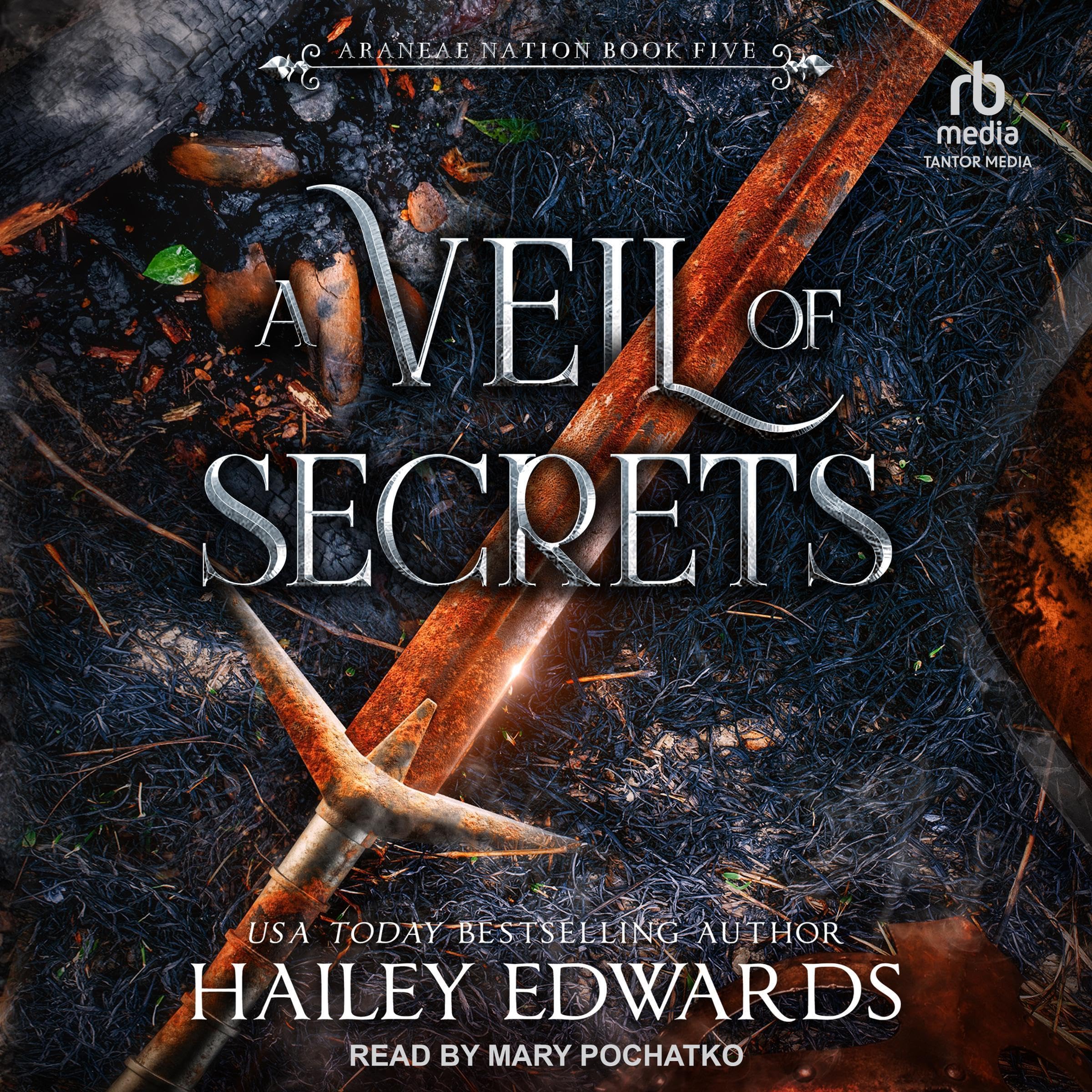 Cover art for A Veil of Secrets