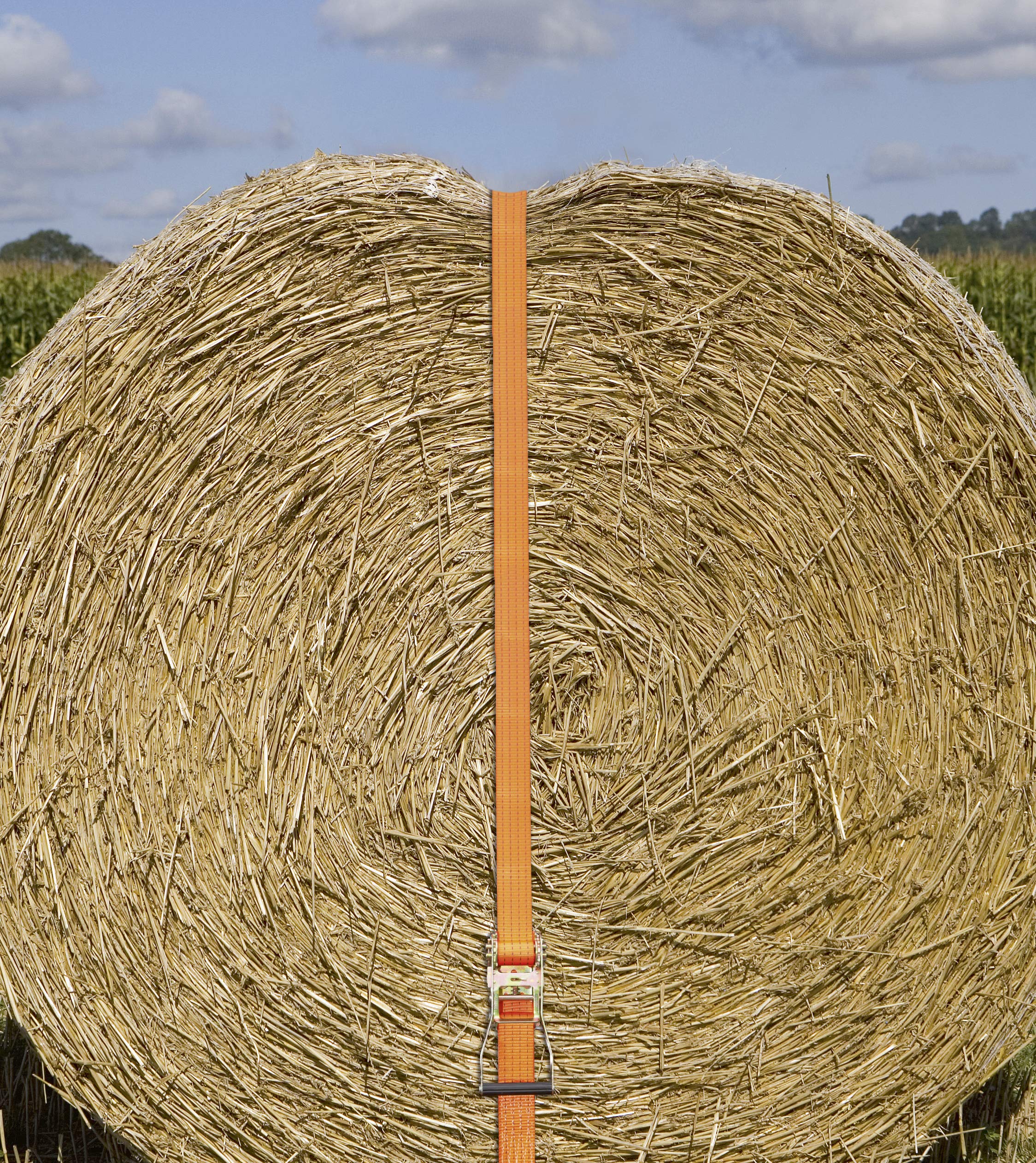Kerbl Ratschenzurrgurt mit Spitzhaken (Zugkraft direkt 2000 kg, Länge 15m, Breite 50 mm) 37160, orange (Packung mit 4)