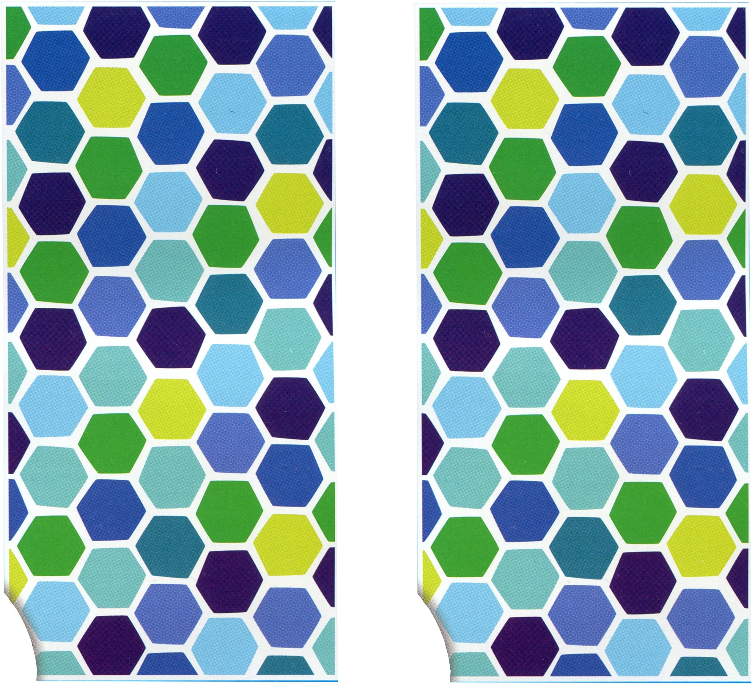 Printed 100% Cotton 2-Pack Beach Towels - Large 28" by 58" - Soft and Absorbent, Great for the Pool and the Beach! (Tortoise Shell)