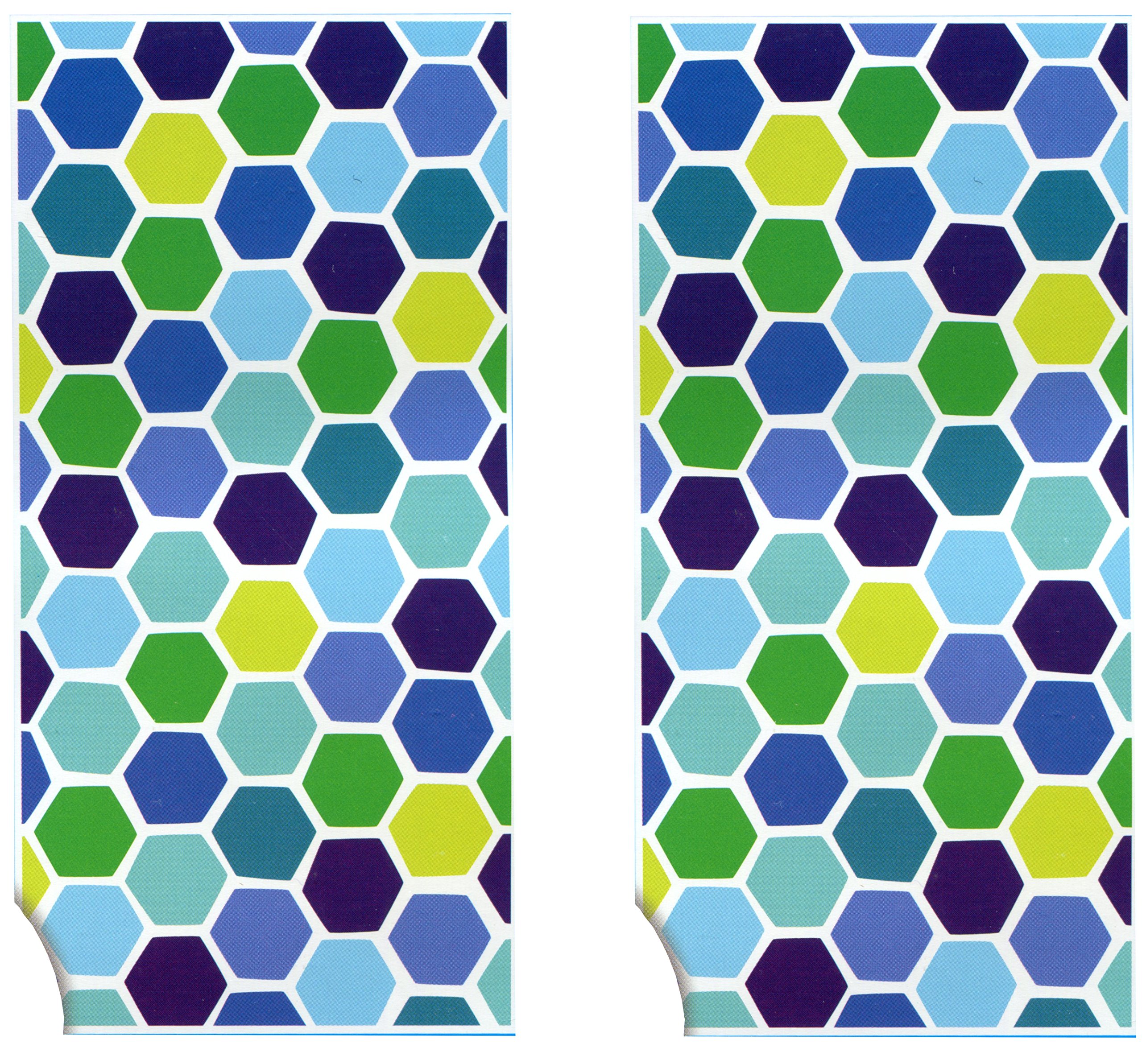 Printed 100% Cotton 2-Pack Beach Towels - Large 28" by 58" - Soft and Absorbent, Great for the Pool and the Beach! (Tortoise Shell)