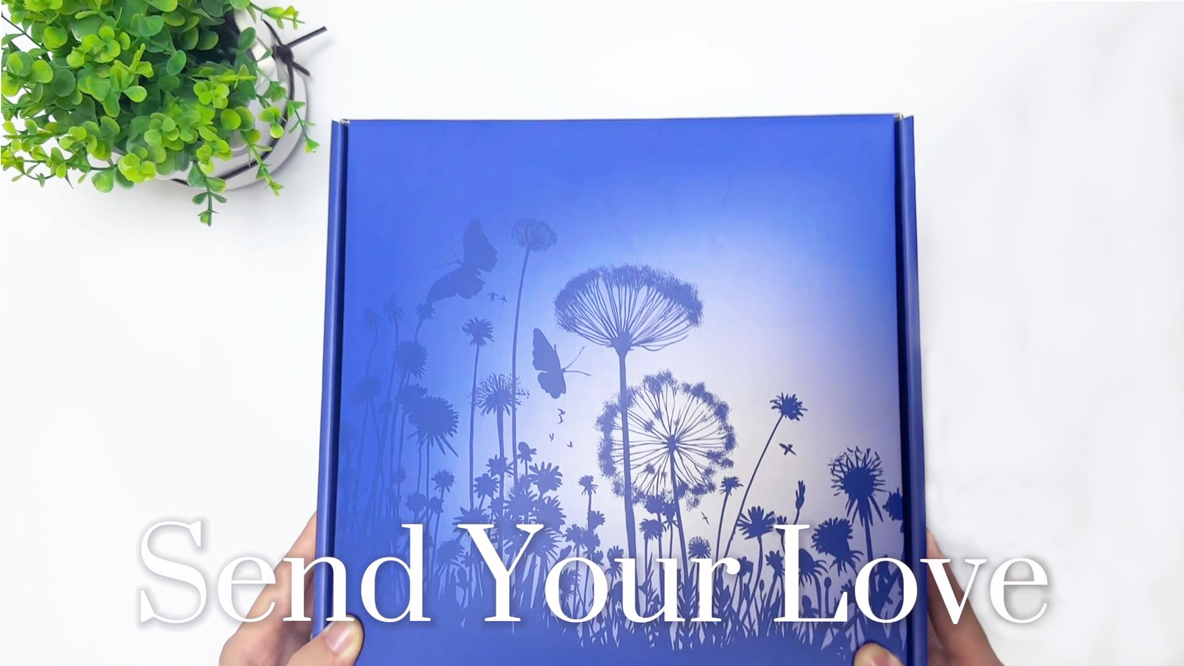 間の楔 SYMPATHY 間の楔 SYMPATHY Desecration Paradigm | ZXUI MOSKVHA