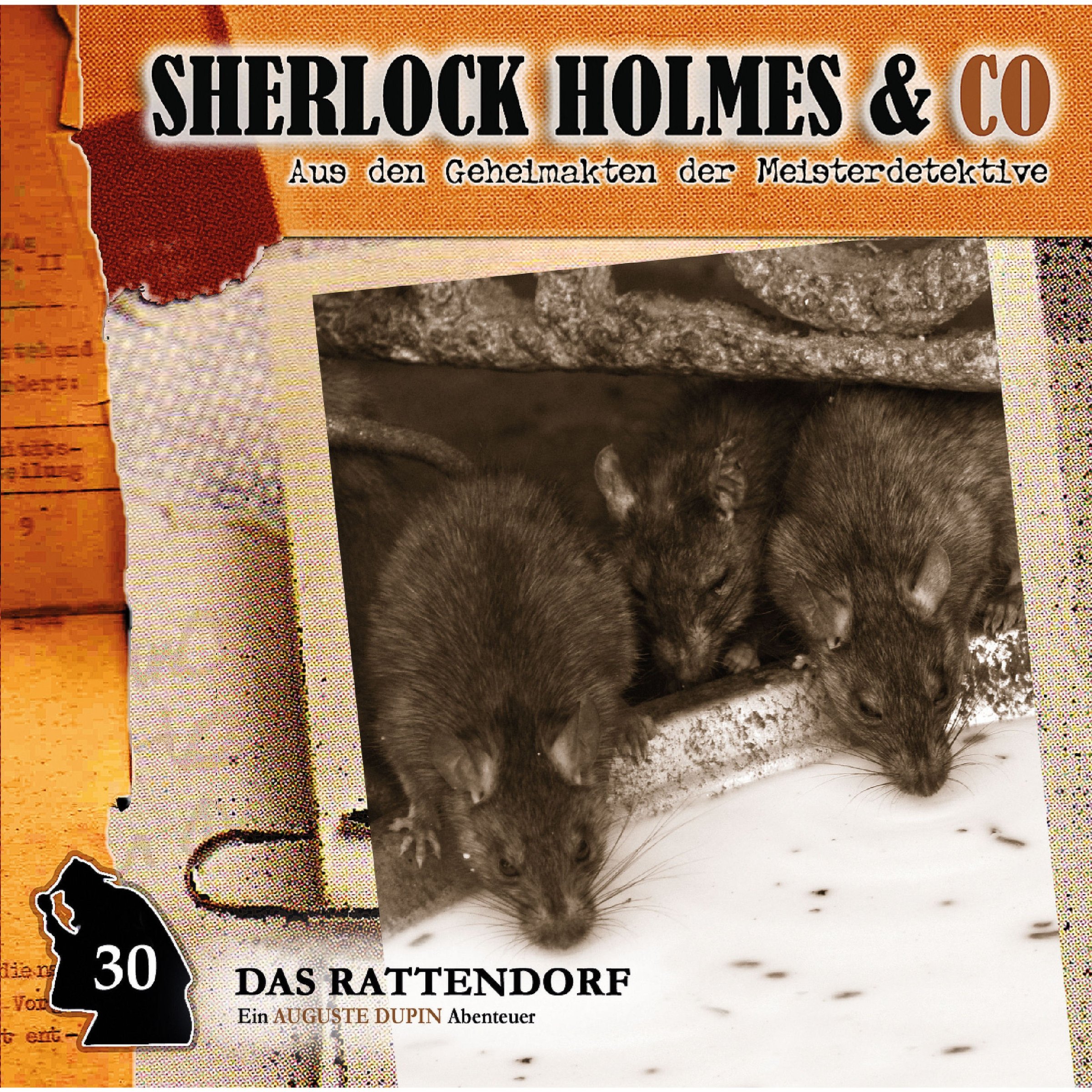 Cover art for Das Rattendorf