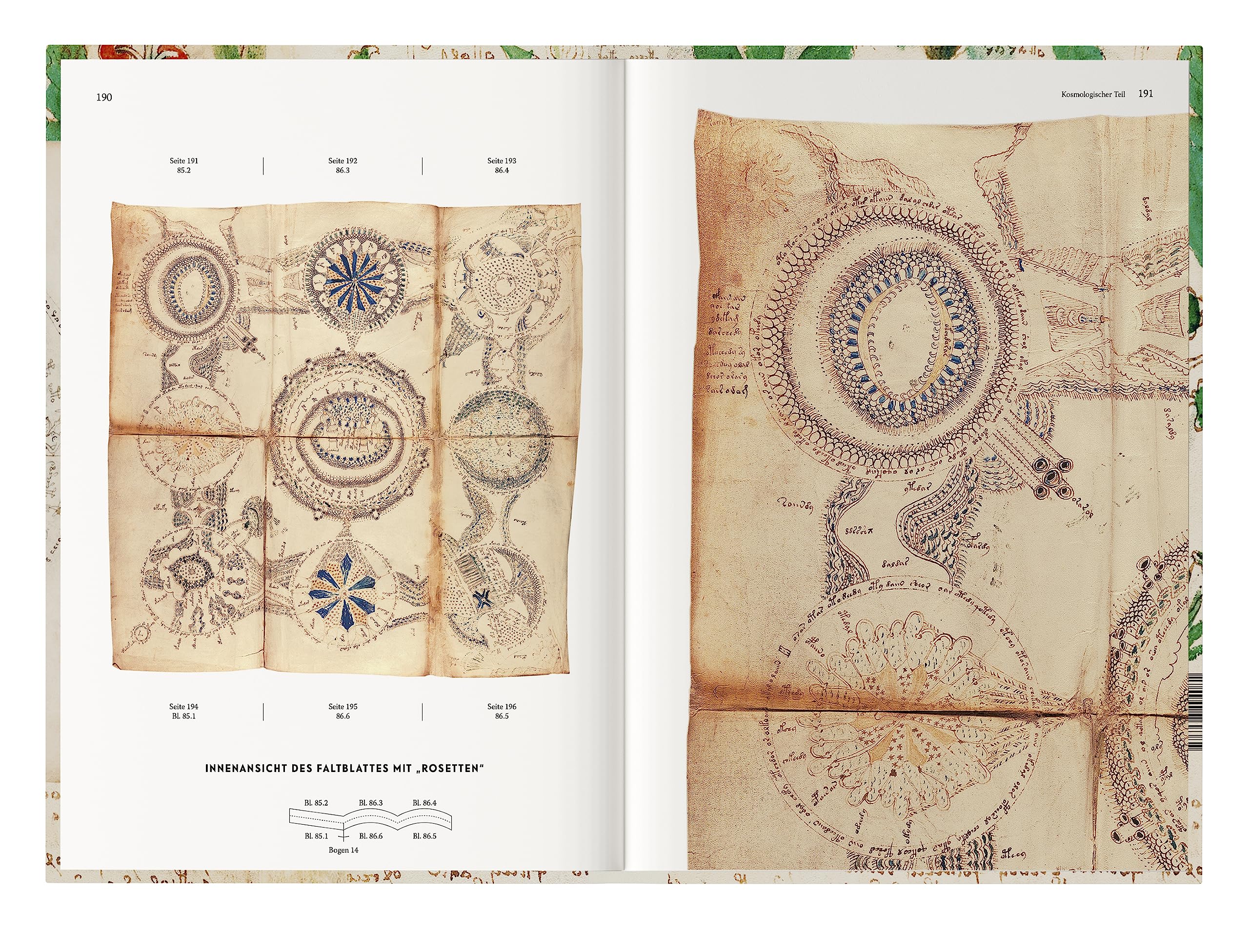 Das Voynich Manuskript: Gesamtdarstellung aller Tafeln der geheimnisvollen illuminierten Handschrift
