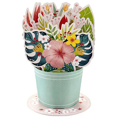 Hallmark 699RZW1047 Paper Wonder Pop Up Card (Flower Bouquet) For Mother'S Day thumb #1