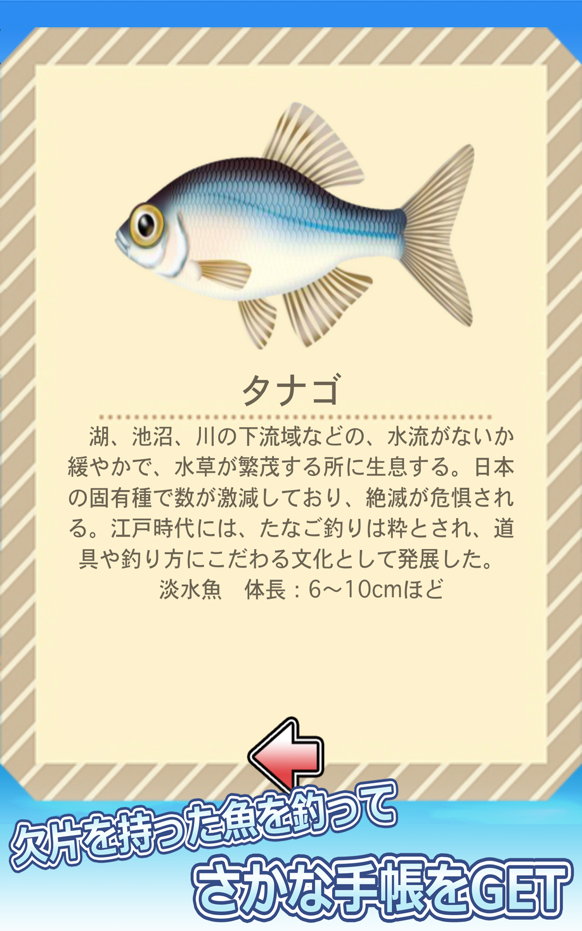 釣りペンギン+-Amazonアプリストアのアプリ