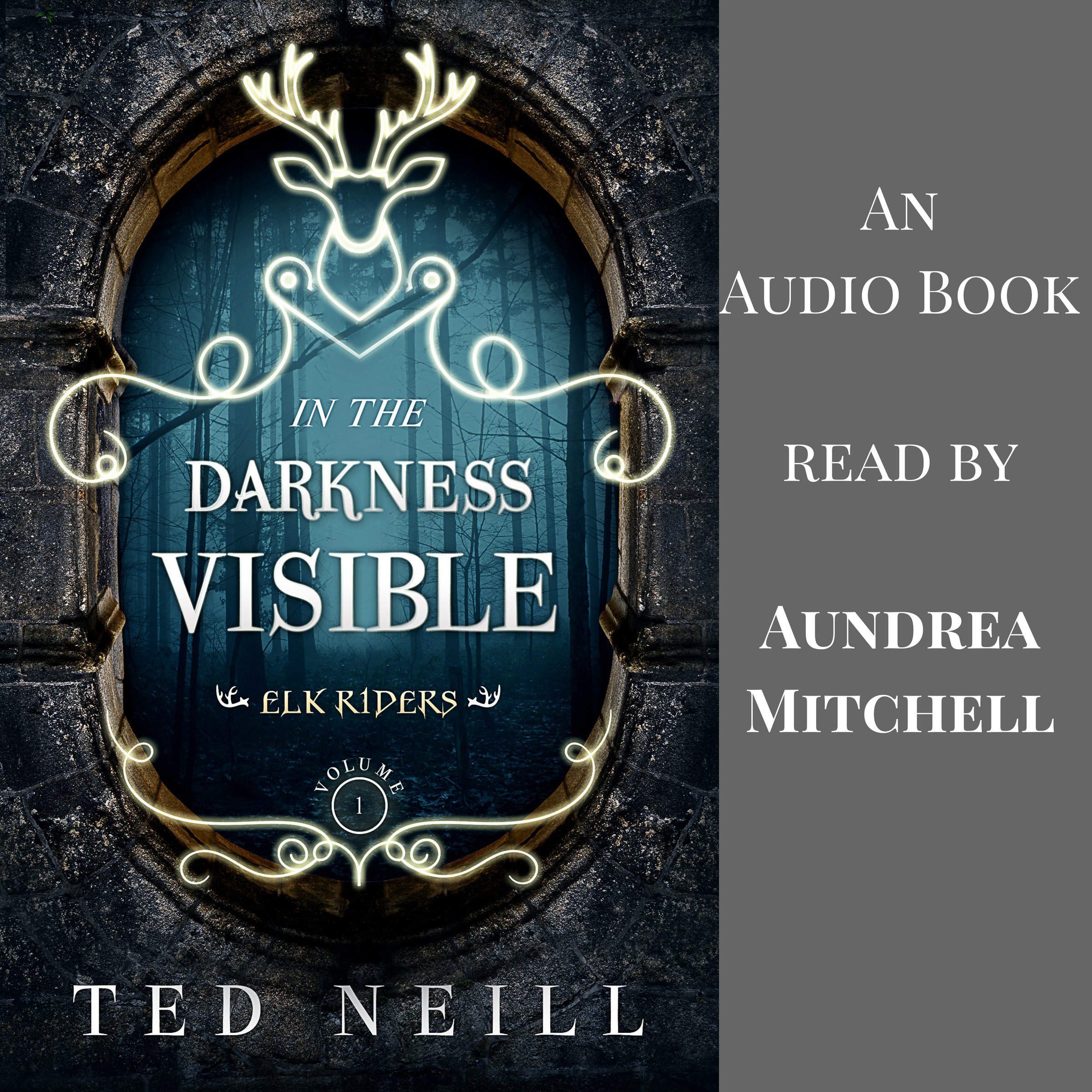Cover art for In the Darkness Visible