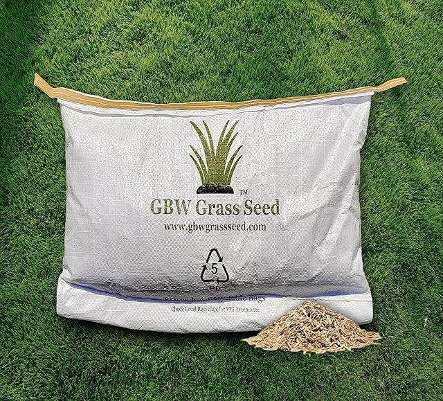 1kg Grass Seed Covers up to 55 m2 (590 ft2) New Lawns - Premium Quality Seed - Fast Growing - Hard Wearing Lawn Seed - Tailored to UK Climate - Trademark Registered - GBW Grass Seed - 100% Refund