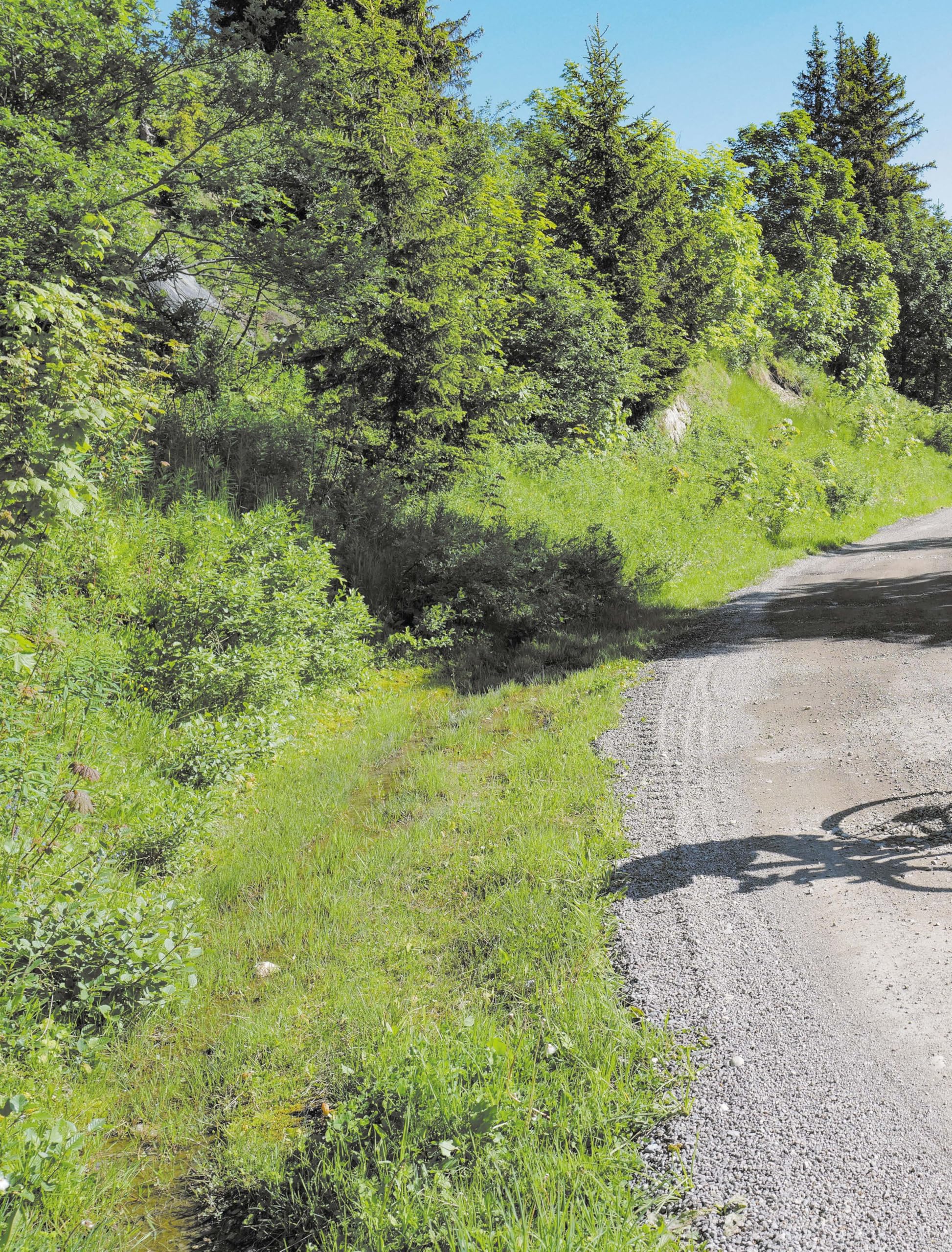 Les Plus belles destinations en gravel - Sur les routes et chemins de France et d'Europe