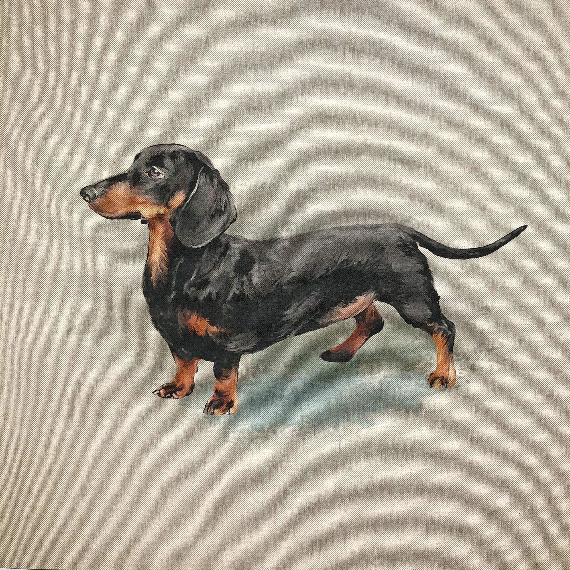 Discover Lifestyle & Fashion Fabrics Dachshund Watercolour Animals Digital Print Design Cotton Rich Linen Look Fabric For Bunting Blinds Craft Quilting Patchwork & Upholstery | Sold Per Panel (Dachshund)