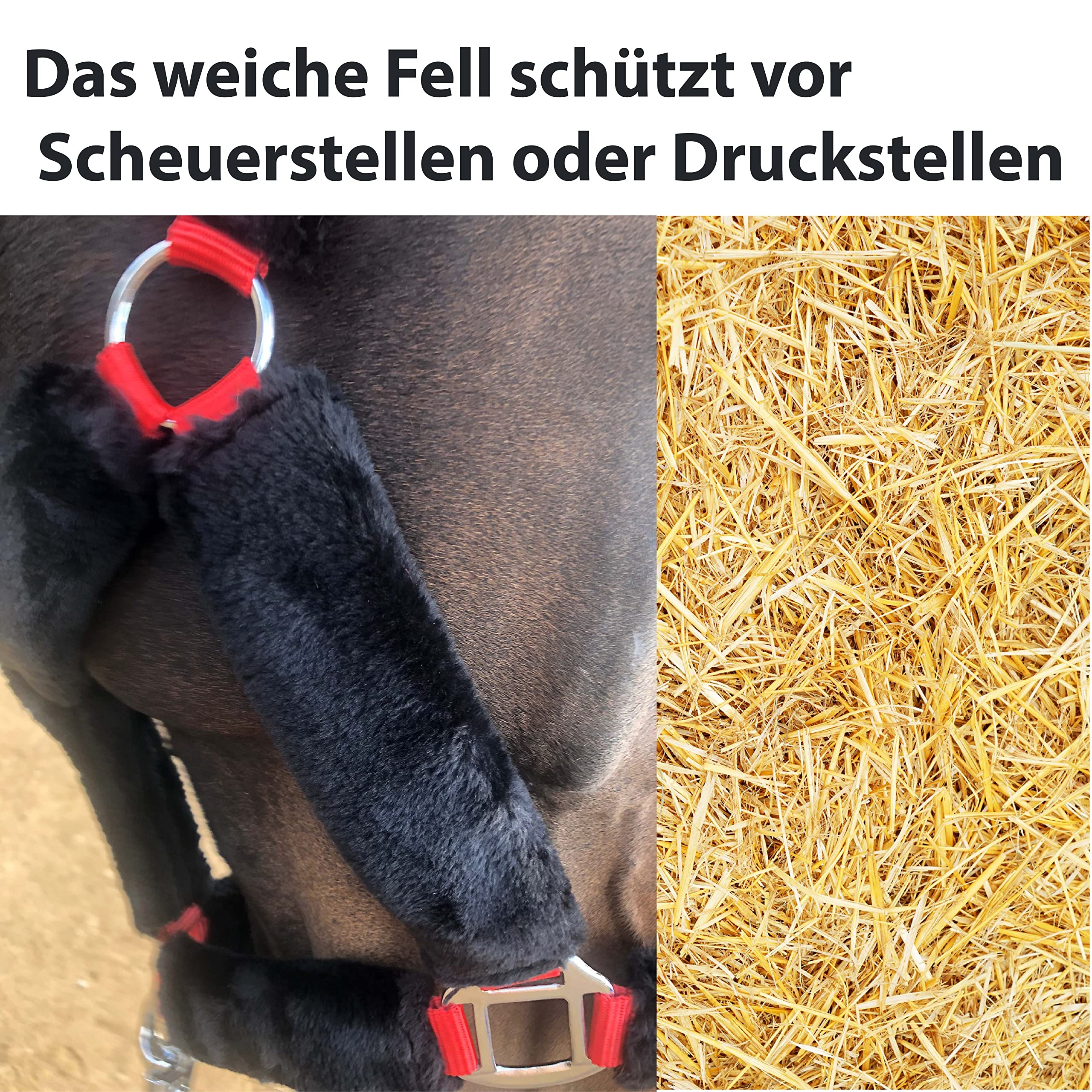 Linee per cavalli Capezza per cavallo e corda Capezza in pelliccia con corda in piombo Gancio antipanico per cavallo Capezza per pony, pannocchia, sangue caldo, sangue freddo (sangue freddo (X-Full))