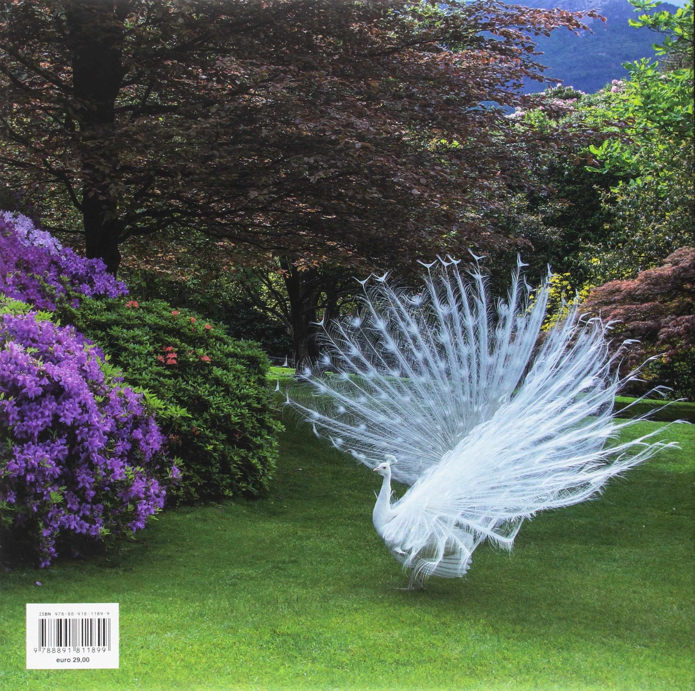 I giardini delle Isole Borromee. Ediz. a colori