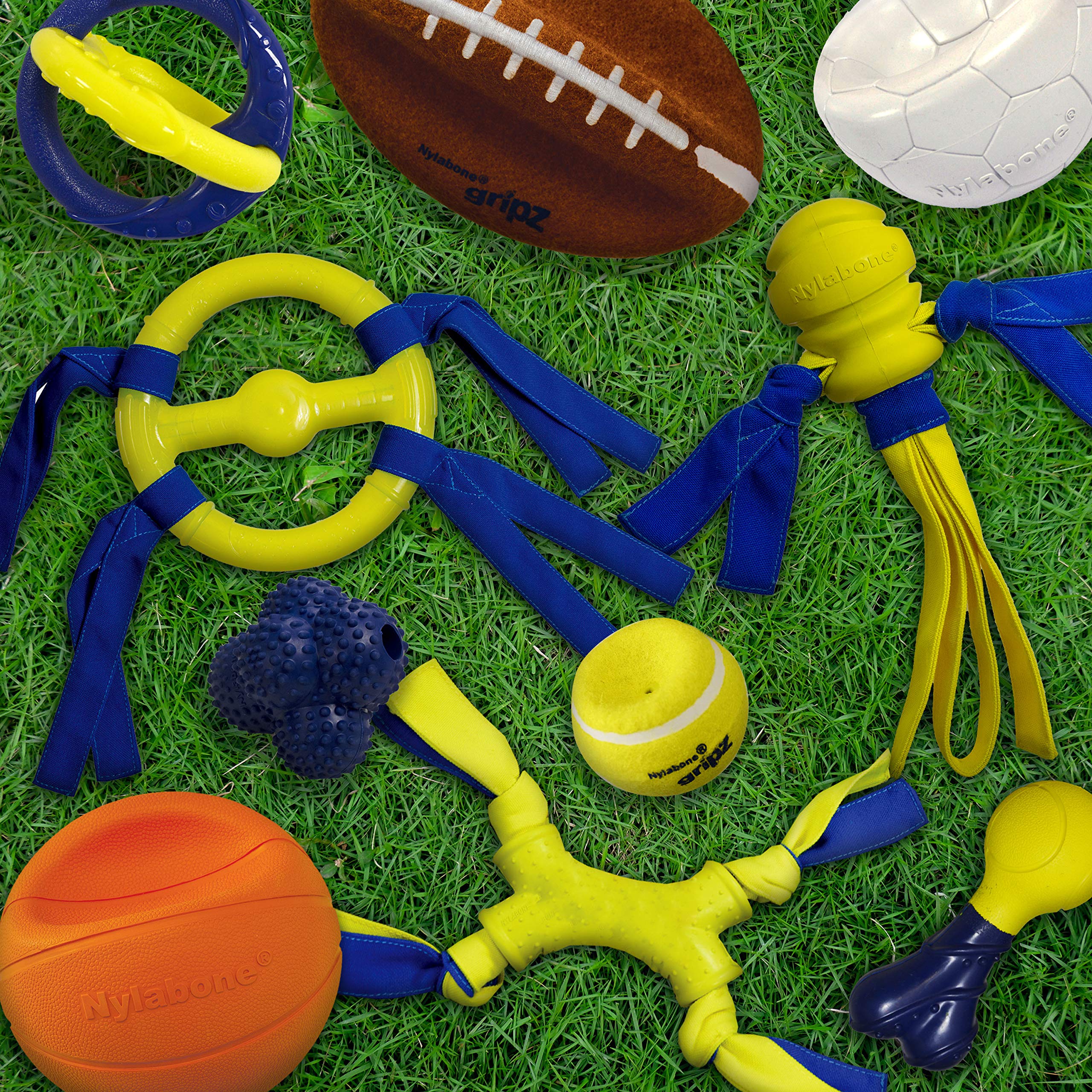 Nylabone Power Play Gripz - Palla da calcio per cani, con design facile da raccogliere, misura media, 14 cm