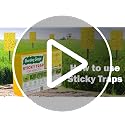 Image of Garden Genie Yellow Sticky Trap for Insects 10 Traps (150x200mm) | Double Sided Glue /Fly /Insect Catcher /Sticky Pads for Flying Insects, Thrips, White Flies Etc | Suitable for Gardens & Farms