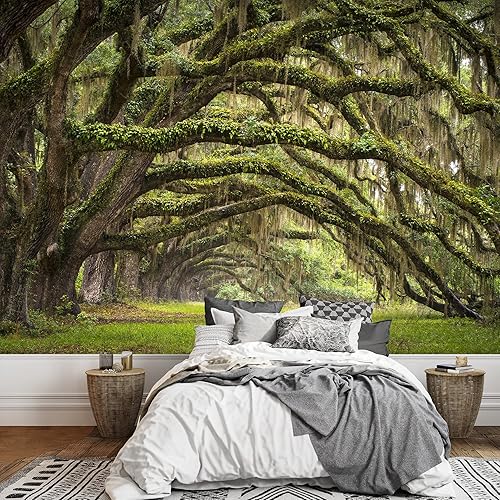 Miniatura 1 de wall26 - Oaks Avenue Charleston Sc Plantation Live Oak Trees Forest Landscape in Ace Basin South Carolina Lowcountry - Mural de pared extraíble