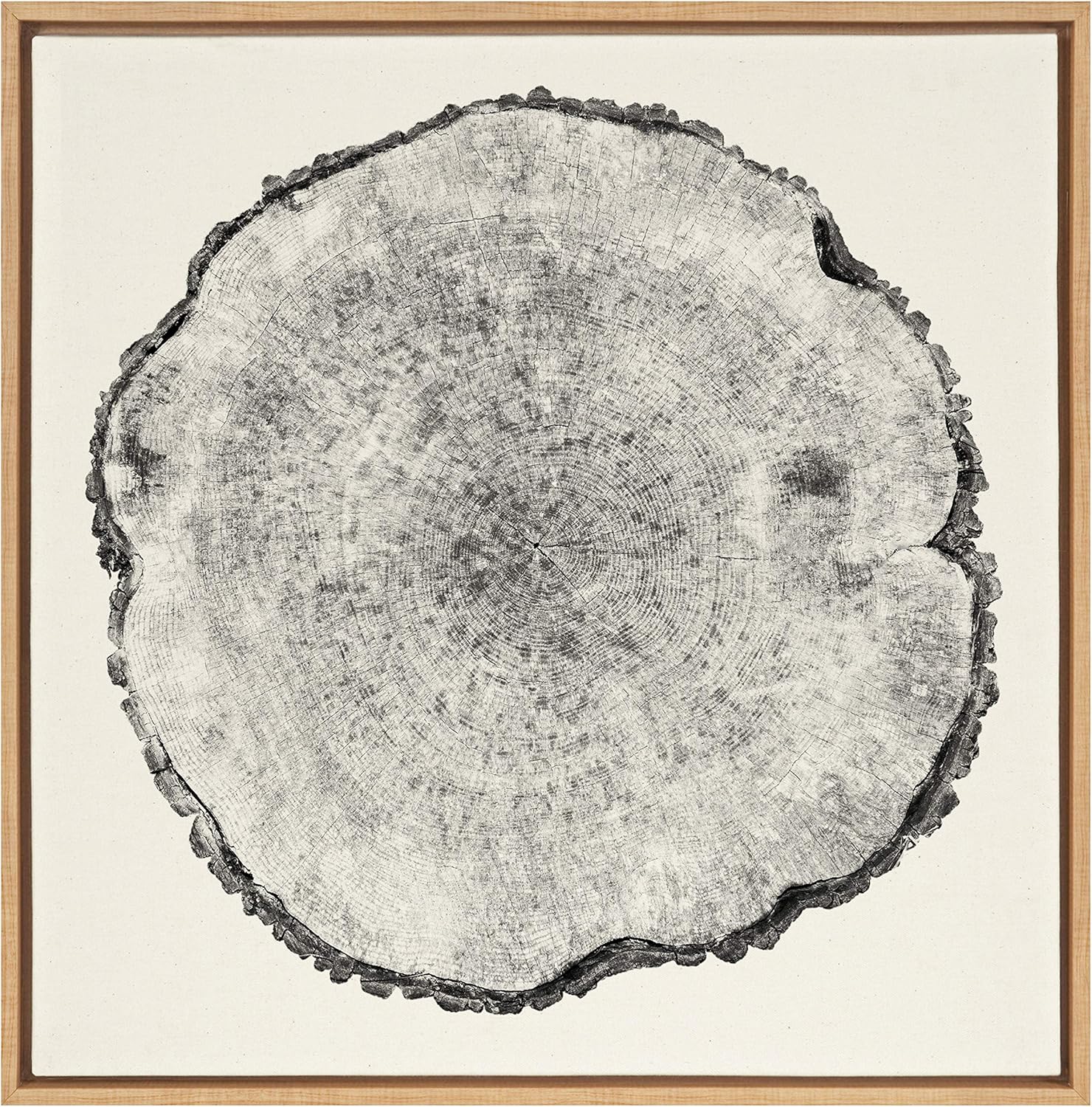 Kate and Laurel Sylvie Tree Rings Framed Linen Textured Canvas Wall Art by Emiko and Mark Franzen of F2Images, 30x30 Natural, Decorative Nature Art for Wall