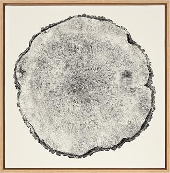 Kate and Laurel Sylvie Tree Rings Framed Linen Textured Canvas Wall Art by Emiko and Mark Franzen of F2Images, 30x30 Natural, Decorative Nature Art for Wall