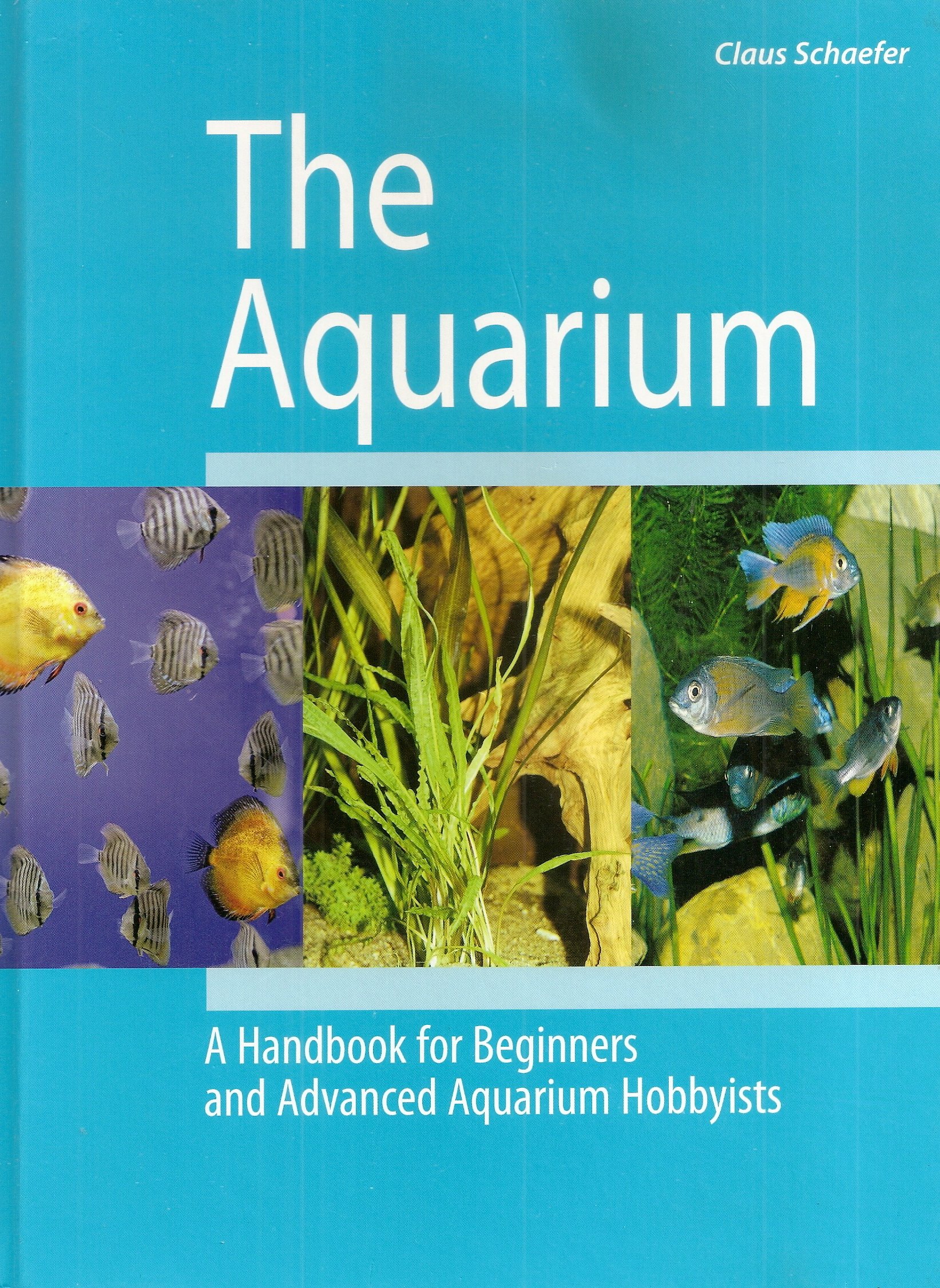 Amazon.co.jp: Aquarium Handbook for Beginners : Schafer, Claus: 洋書