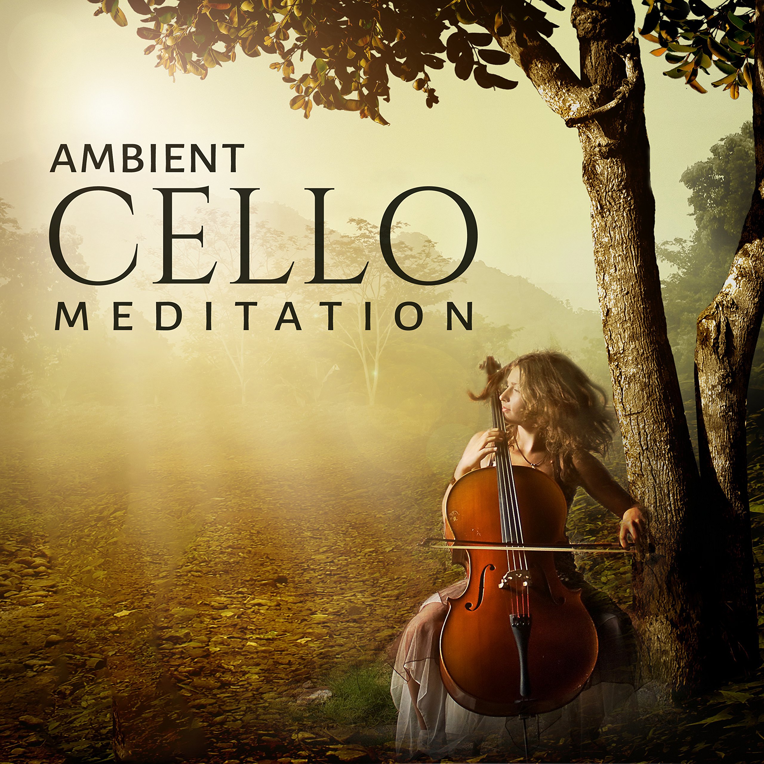 Cello Soul Universe