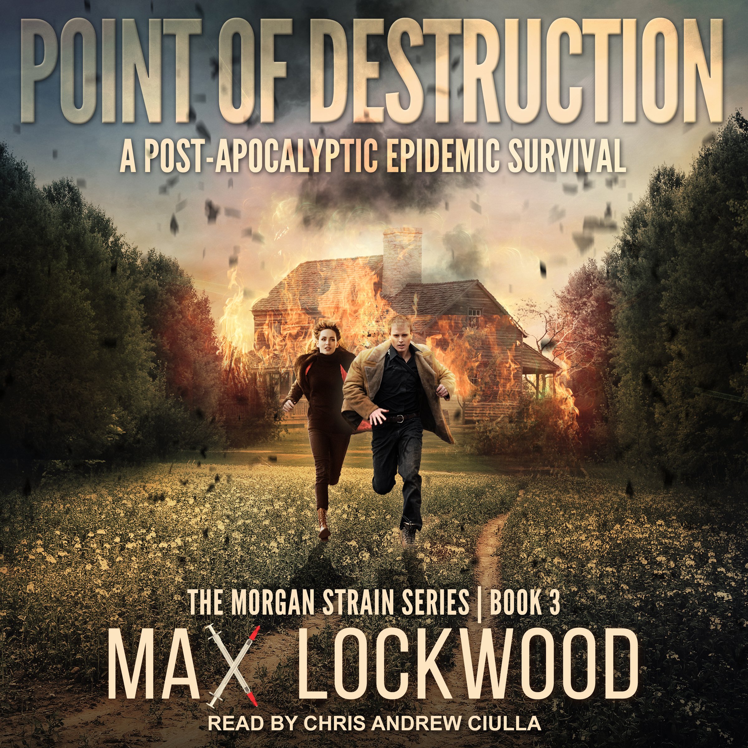 Cover art for Point of Destruction