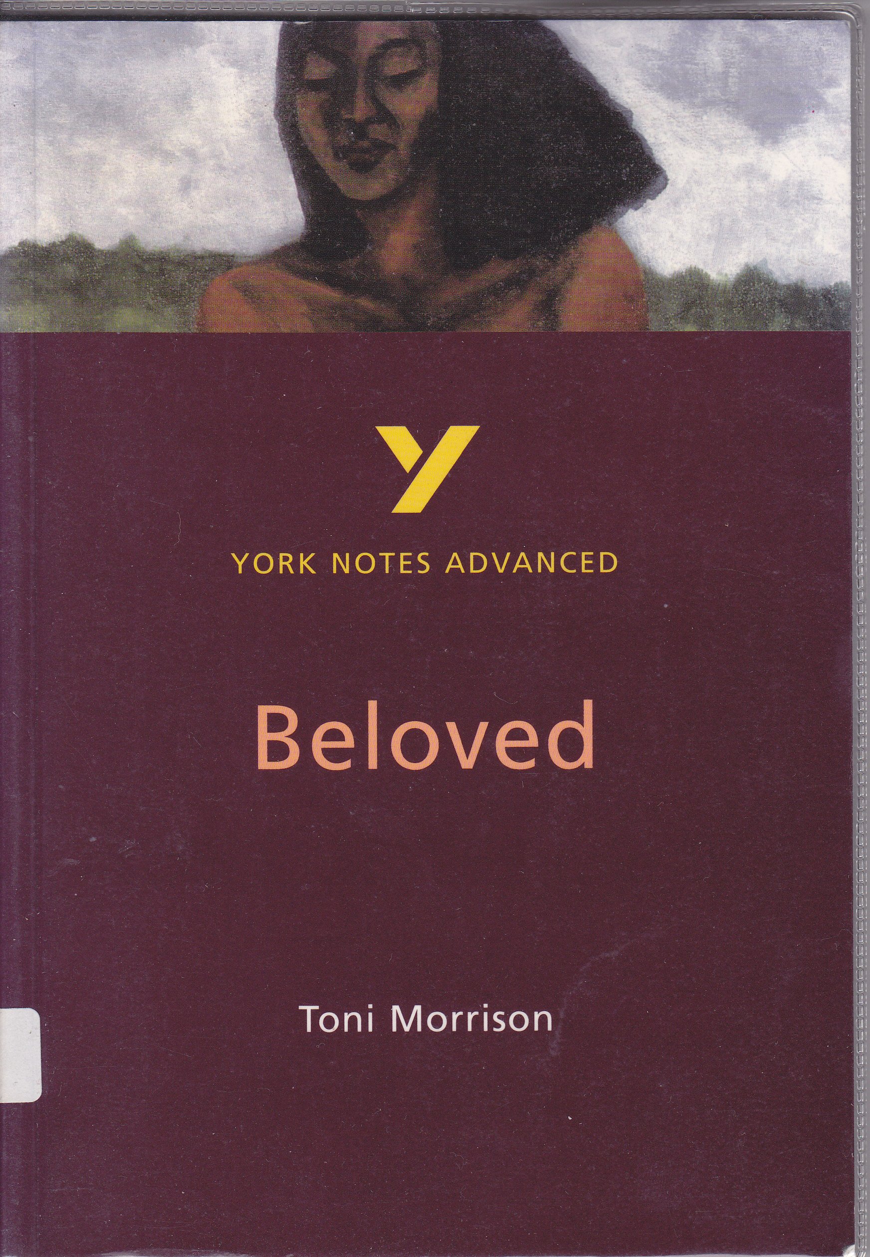 Beloved: York Notes Advanced