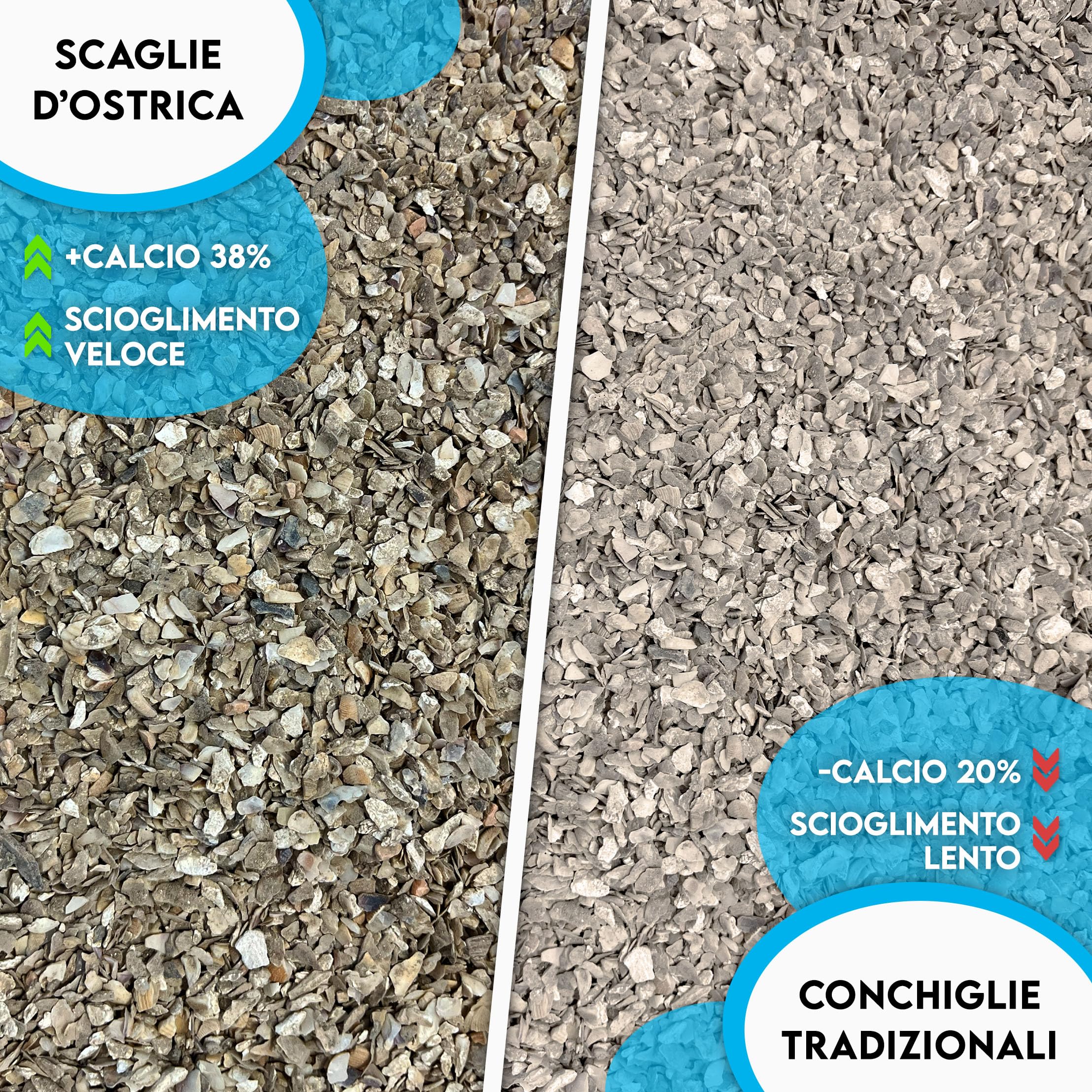 ZOMAPET OSTRIK Mangime Galline Ovaiole a base di scaglie d’ostrica 3/5mm 450gr, Grit per galline ovaiole specifico per uova più sane, mangime uccelli selvatici - Made in Italy