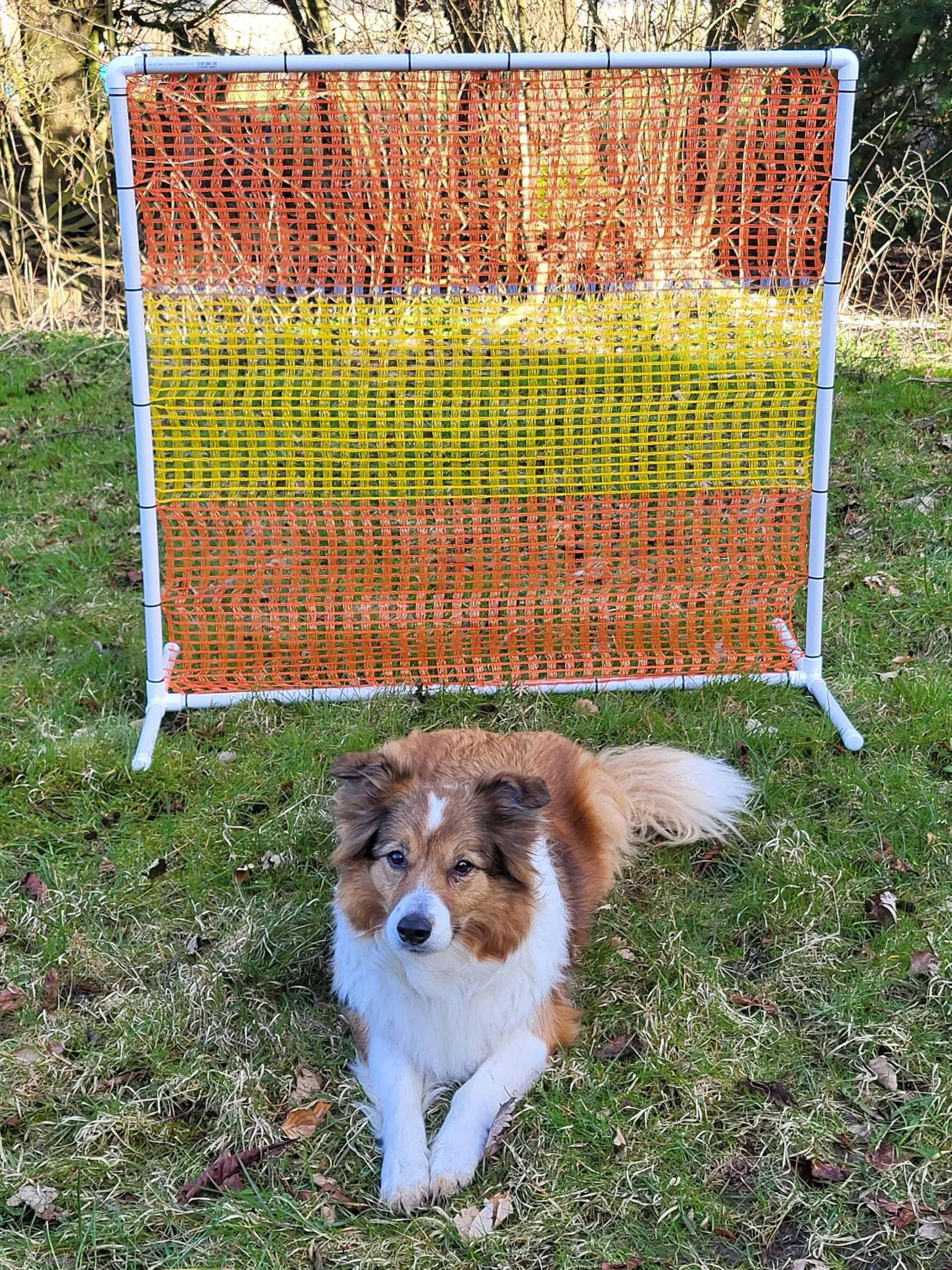 NADAC HOOPERS Lot de 2 clôtures d'agilité en PVC Conforme VDH Jaune/Orange 1,05 m x 1,15 m x 1,15 m 1,4 kg Masques Grossiers d'extérieur pour Chiens de Toutes Tailles