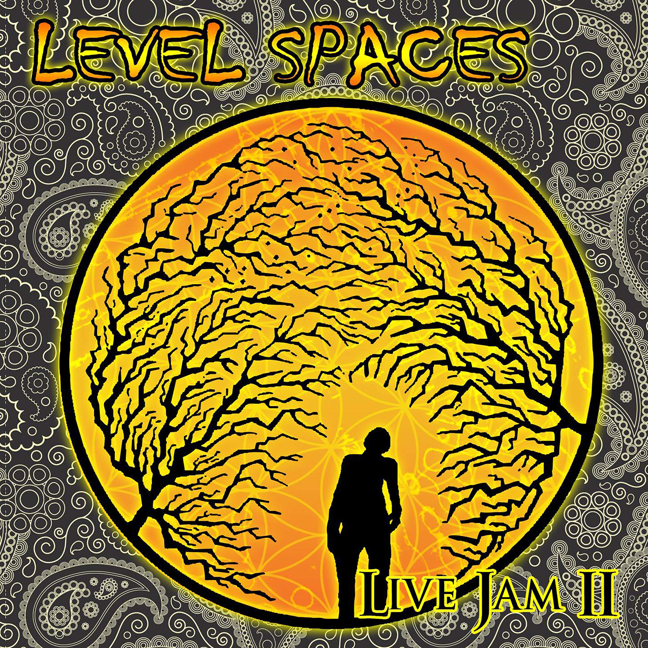 Level Spaces