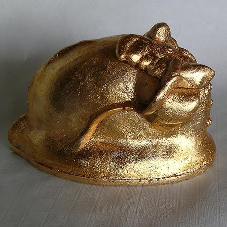 Wings Series #3 - The Protector Helmet for the Environmental Warrior