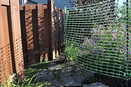 Miniatura 4 de Cerca verde de parte superior seca, 71450