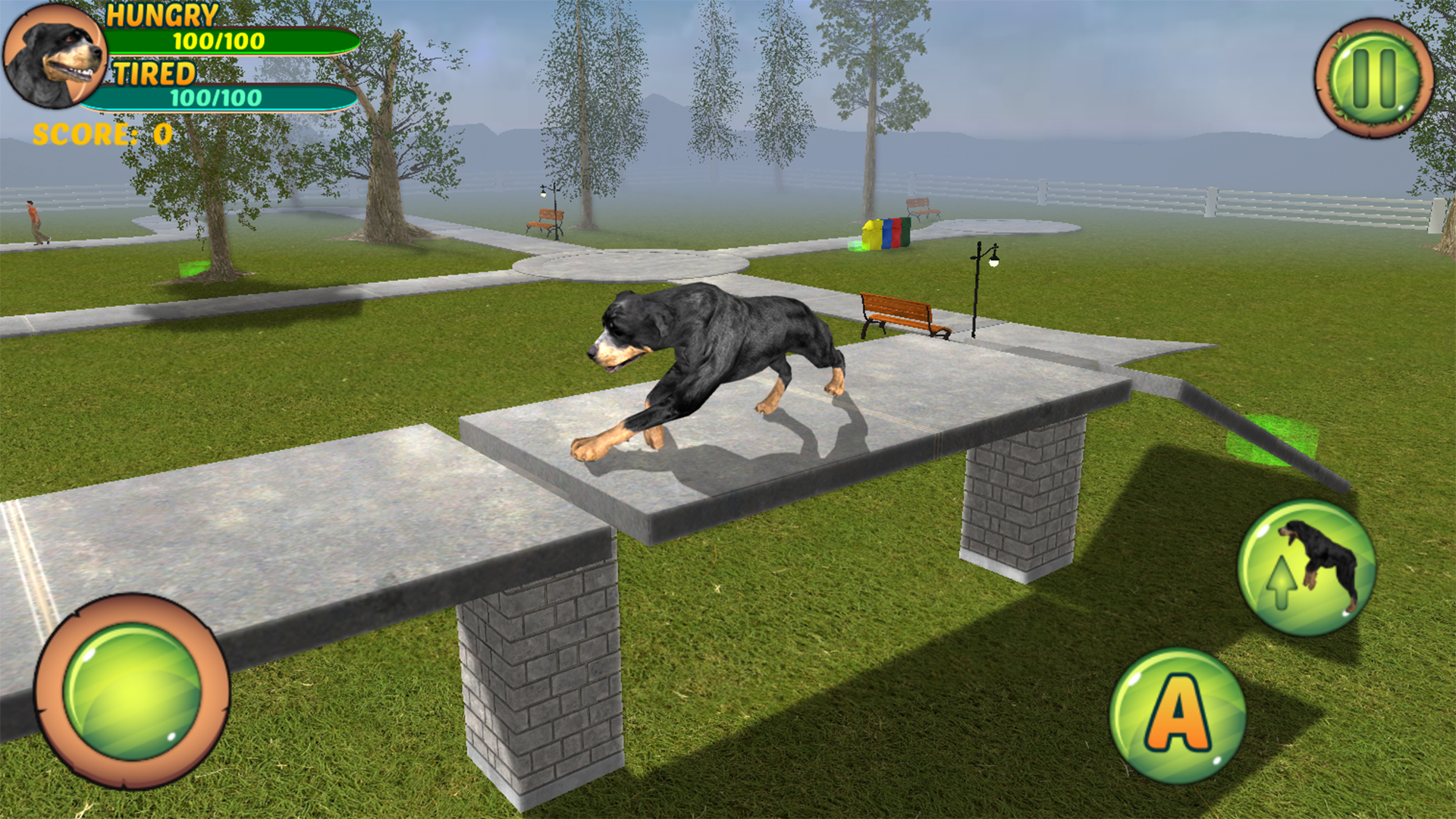 Rottweiler Dog Life Simulator - App on Amazon Appstore