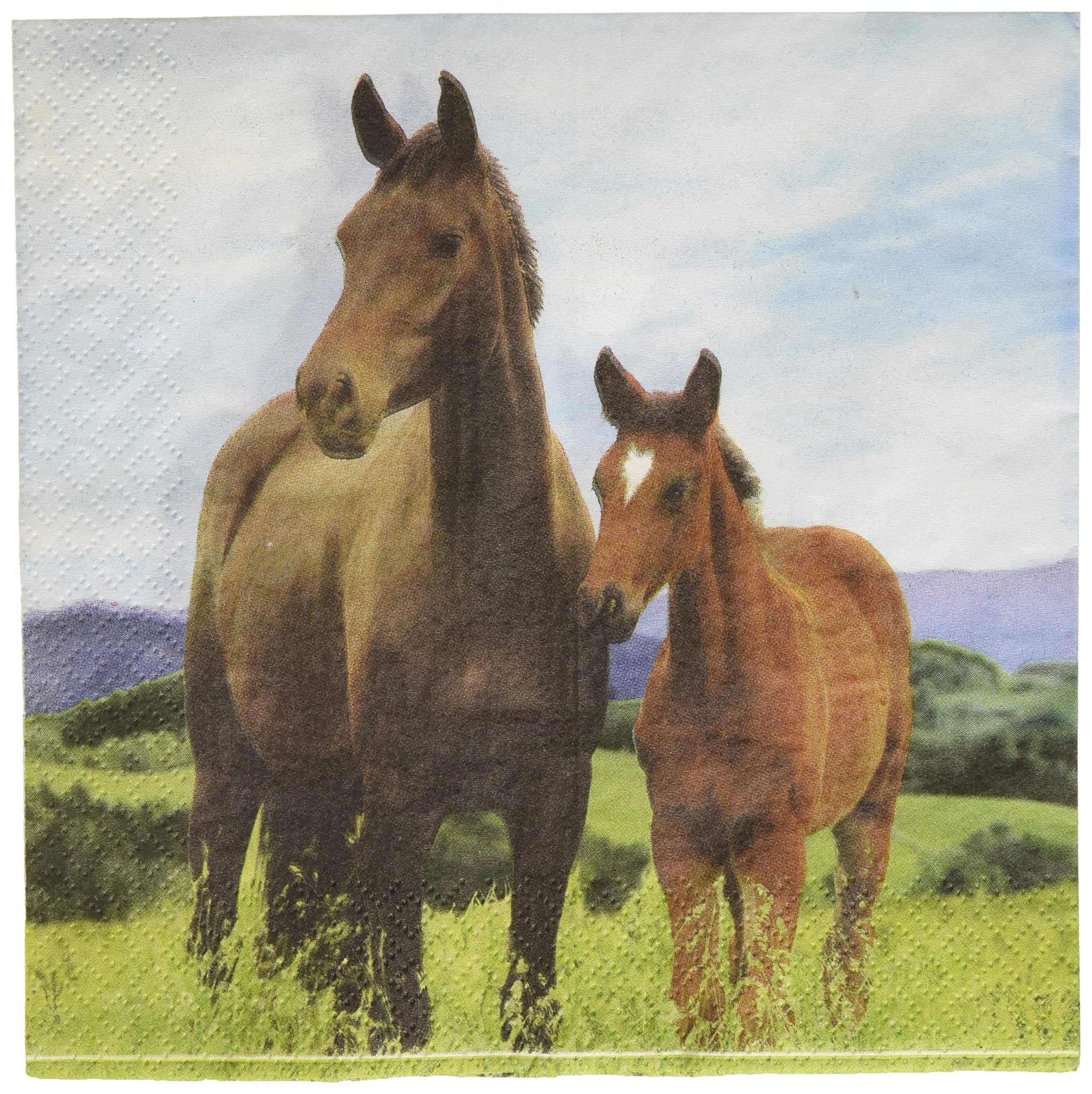 Wild Horse Napkins, 16 ct