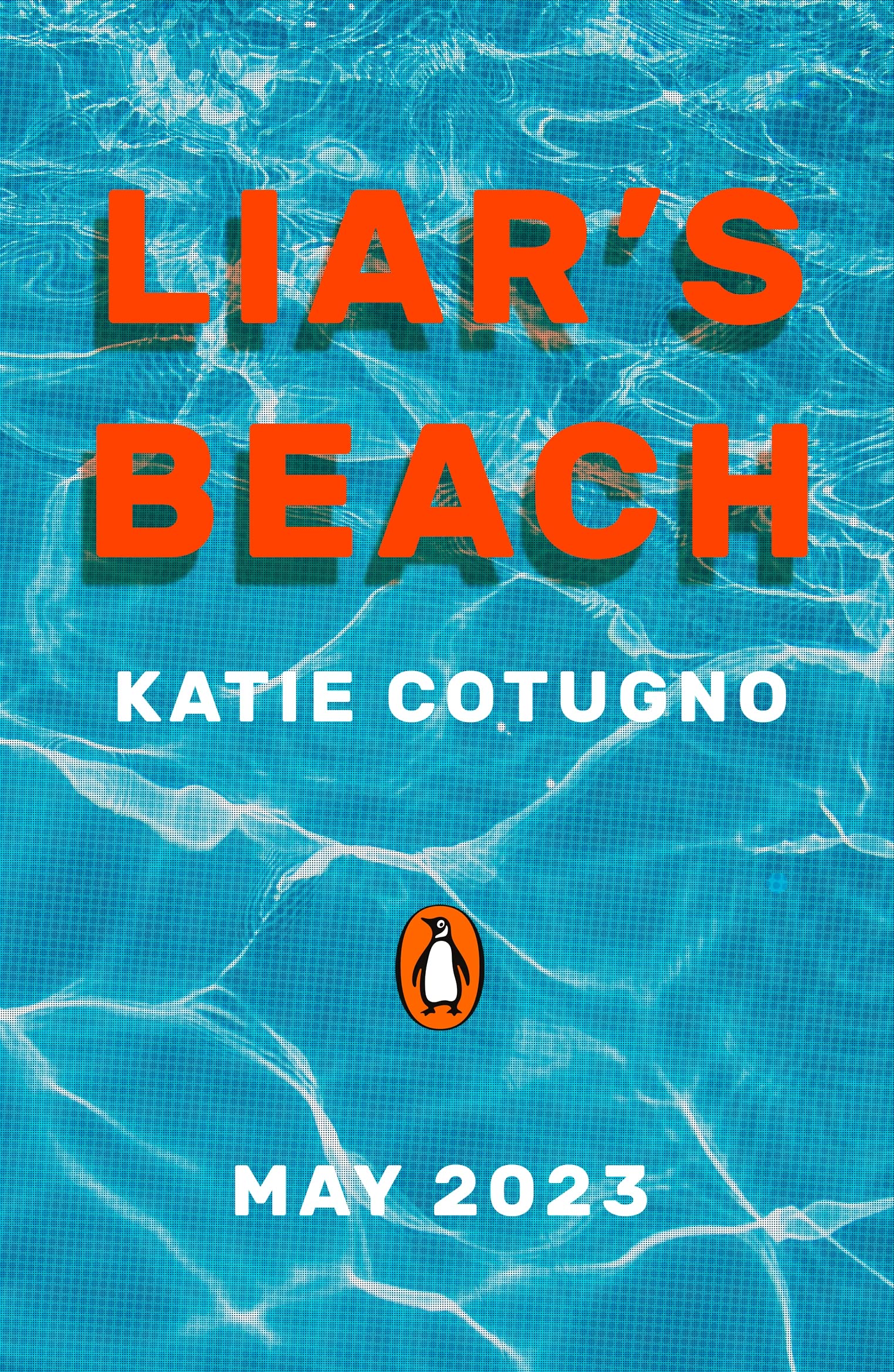 Liar's Beach: The unputdownable thriller of the summer: 1 (Liar's Beach, 1)