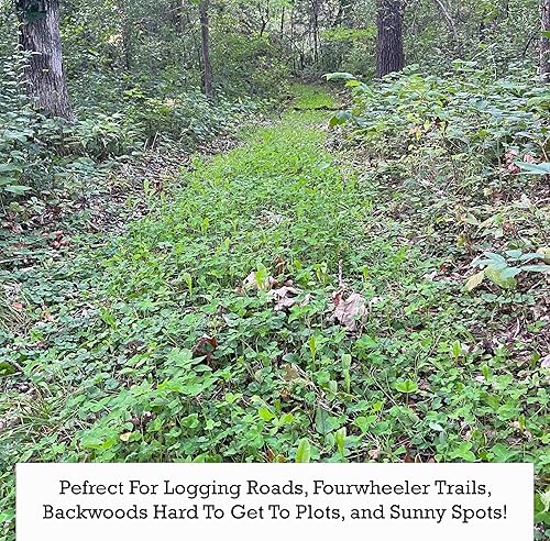 Miniatura 5 de Slim Shady Mix - Semillas de parcela de alimentos, semillas de 34 de acre, mezcla de achicoria y dos tréboles, fácil de plantar y mantener, mezcla