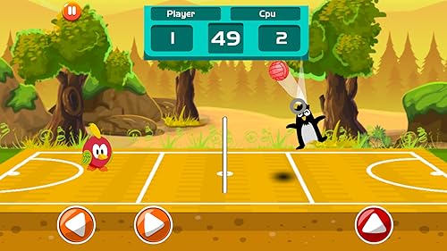 Birds Volleyball Adventure - Angry Jungle Match