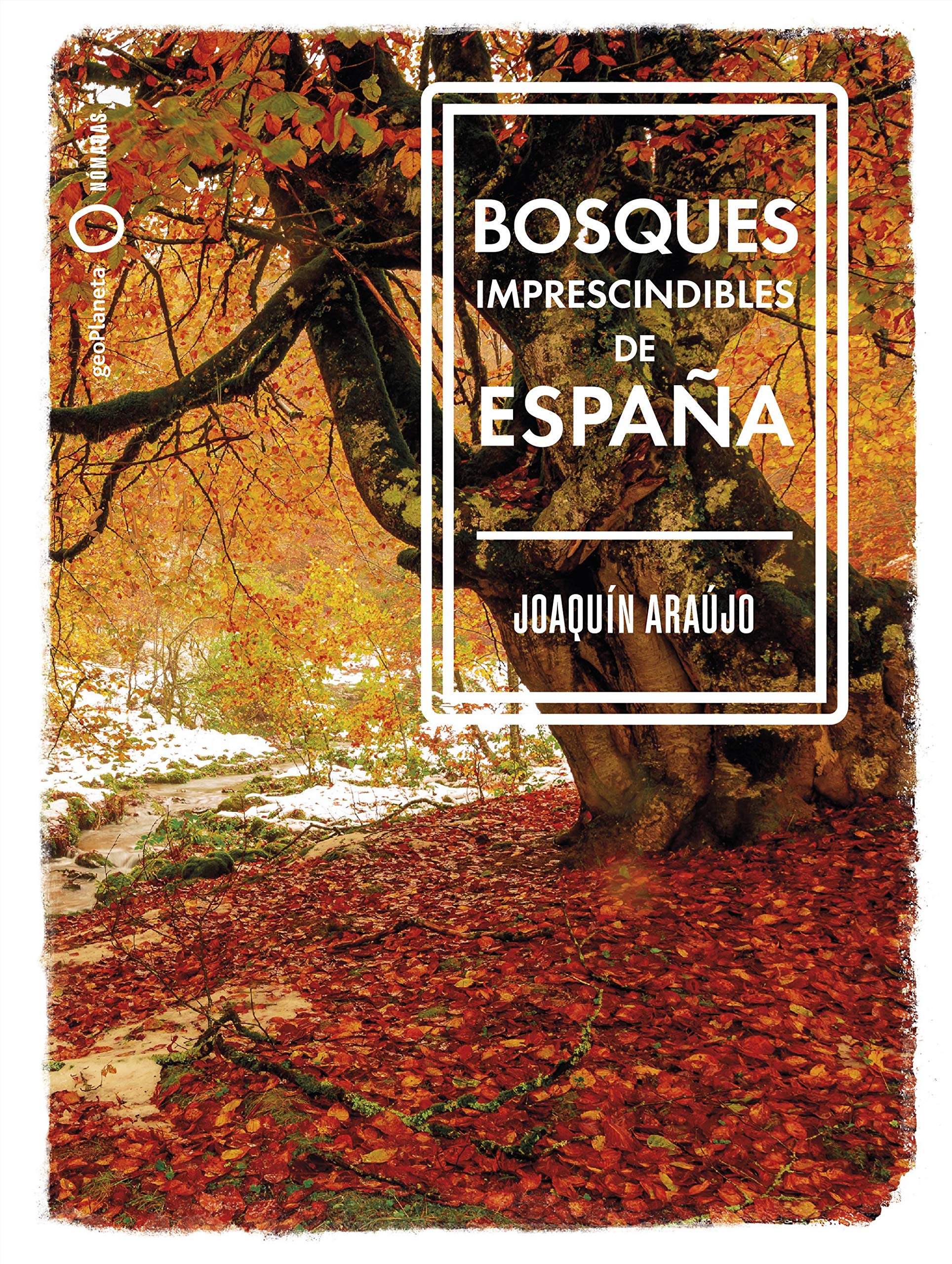 Bosques imprescindibles de España (Nómadas)