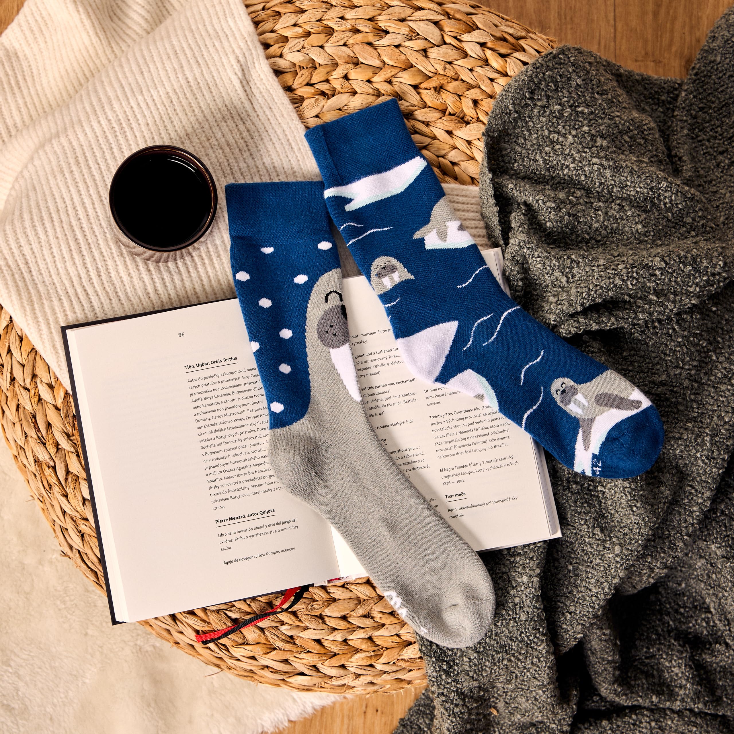 Dedoles Calzini Unisex Donna Uomo & Bambini Calze Cotone con tanti Design divertenti Calcio Bicicletta Piante Cavalli Regalo sinistra destra diversi