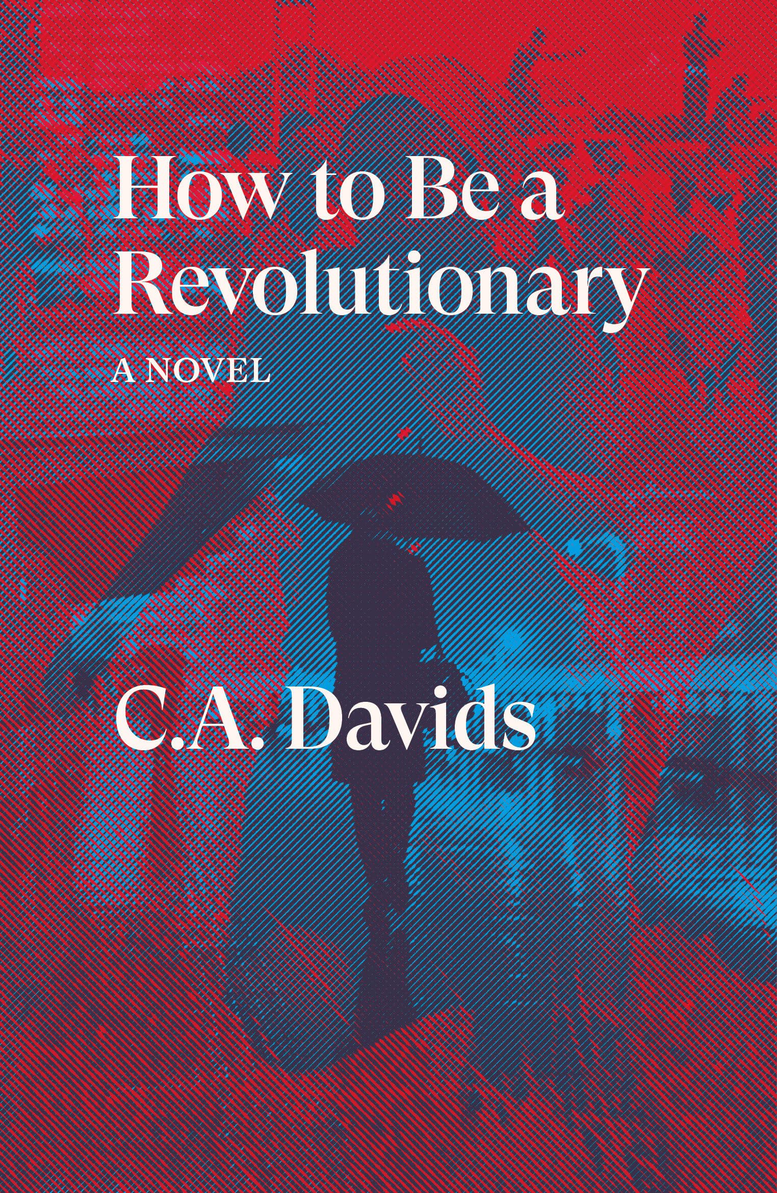 How to Be a Revolutionary: A Novel (Verso Fiction)