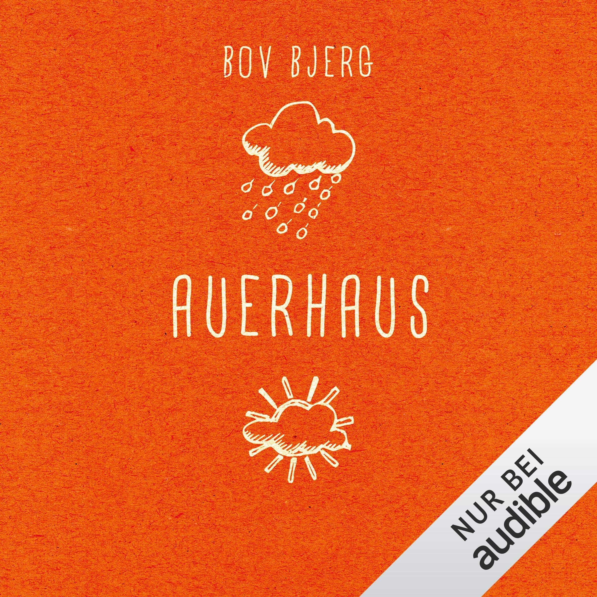 Cover art for Auerhaus