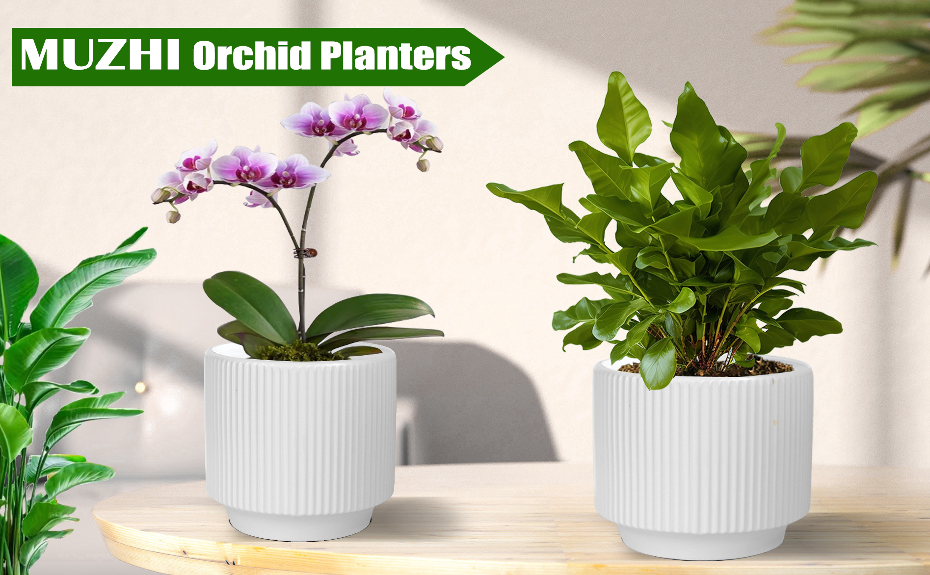 Amazon.com: MUZHI Ceramic Orchid Pot with Holes and Drainage Tray