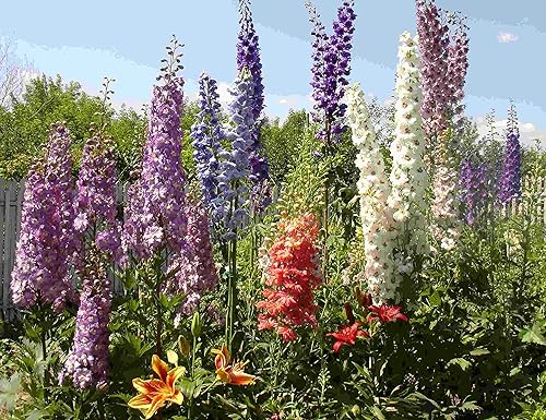 Miniatura 5 de Semillas Delphinium Giant Tall Mix - Orgánico