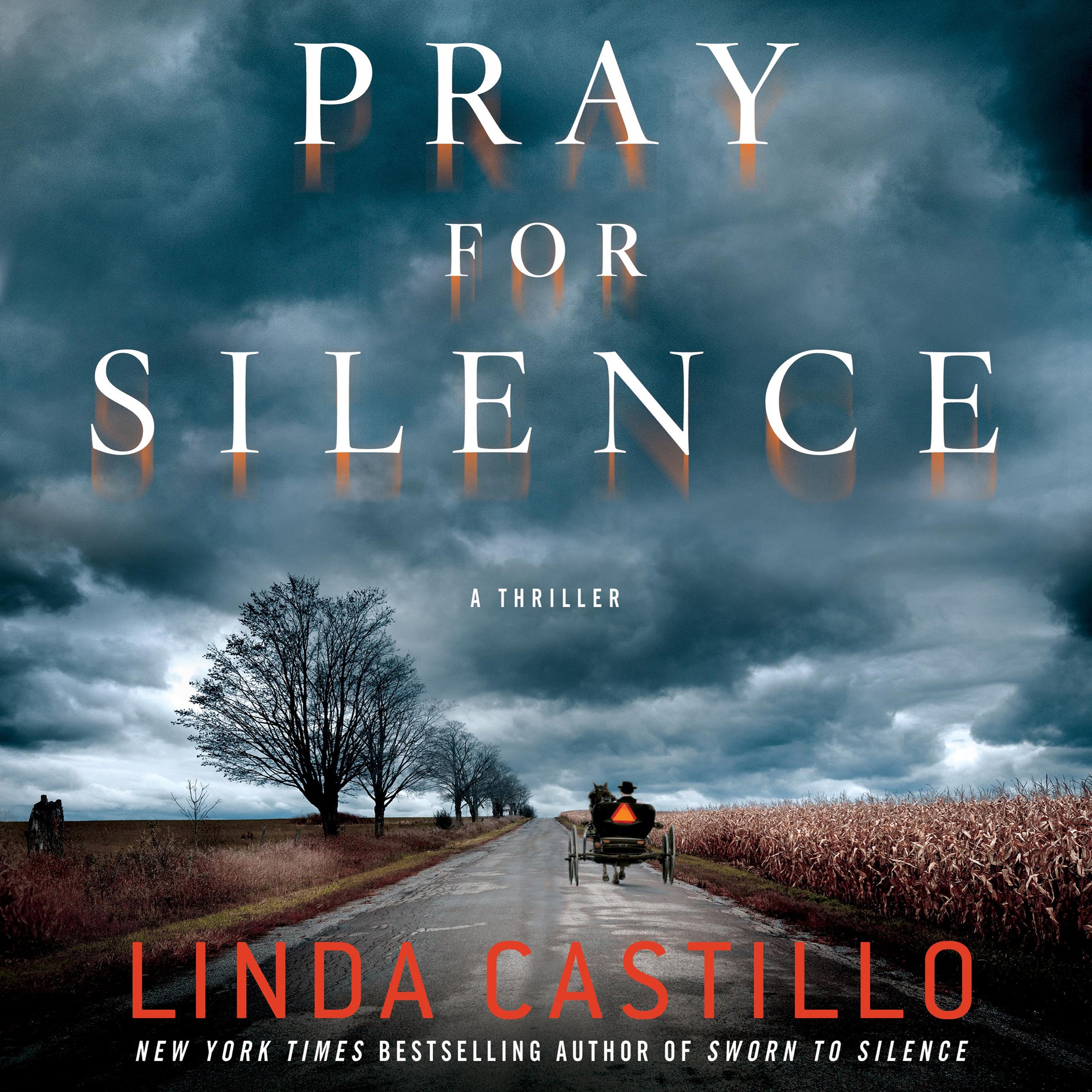 Cover art for Pray for Silence
