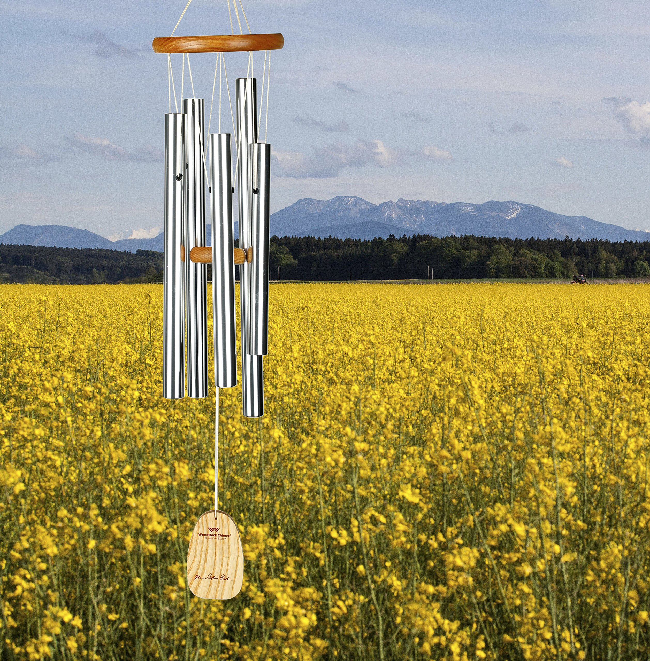 Amazon.com : Woodstock Chimes Signature Collection, Chimes