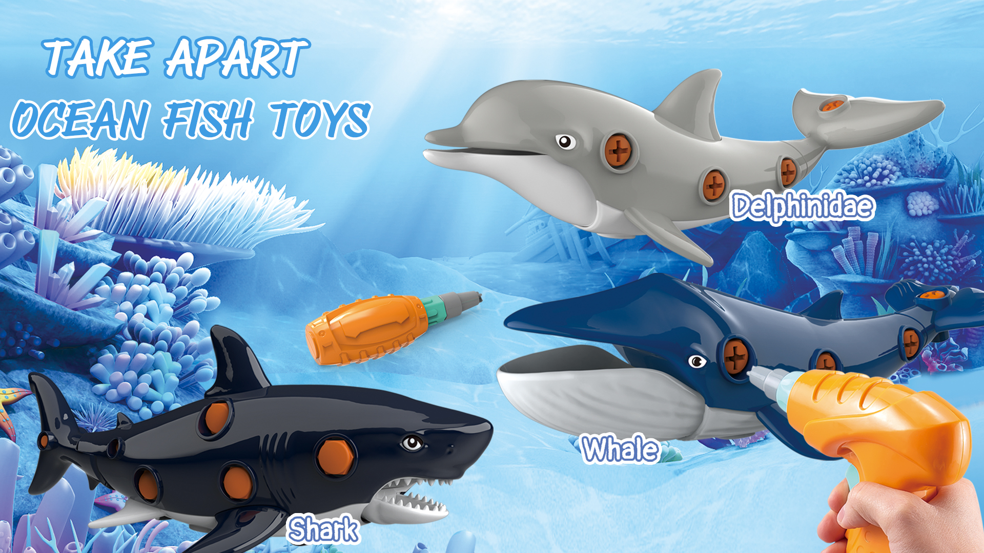 Amazon.com: KAEGREEL Take Apart Shark Toys for Kids, Construction