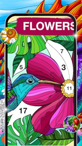 Color by Number 2023