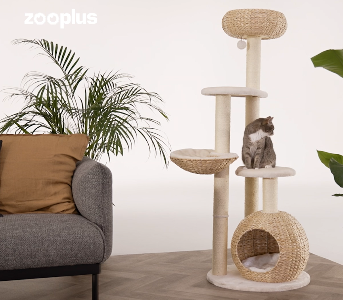 katzenspielzeug set 7 tlg. Katzenspielzeug Set Miami - fr Deine Katze