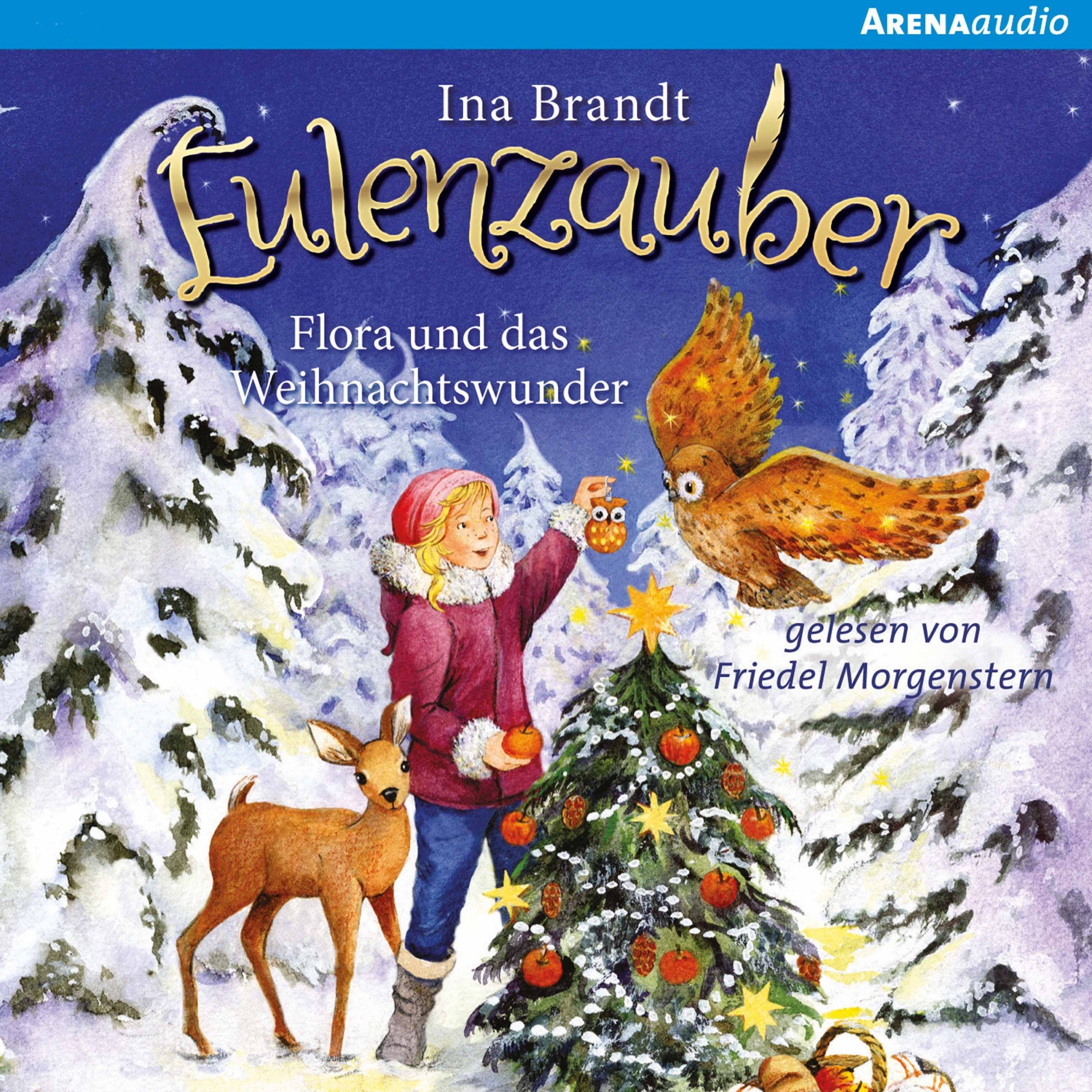 Cover art for Flora und das Weihnachtswunder