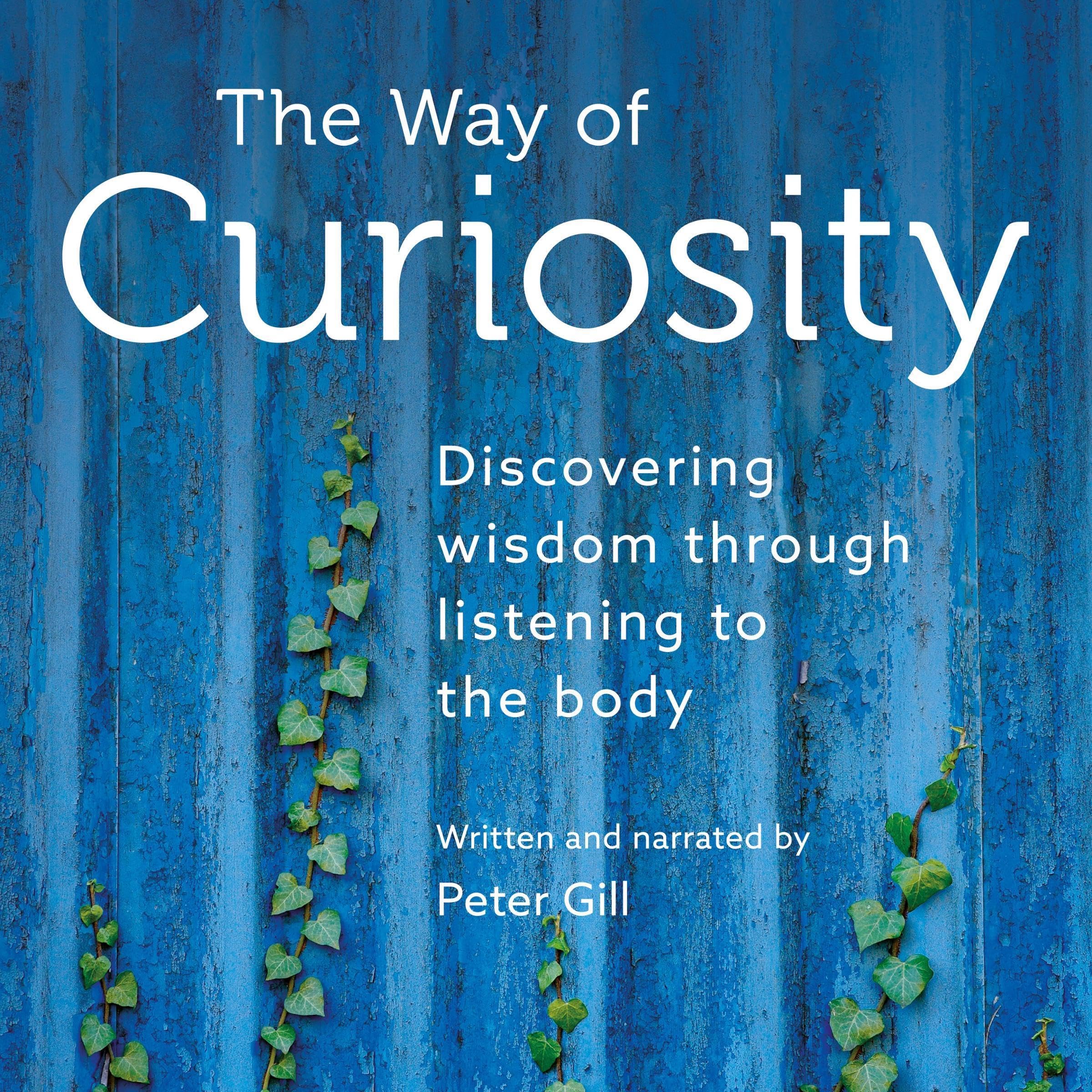 The Way of Curiosity