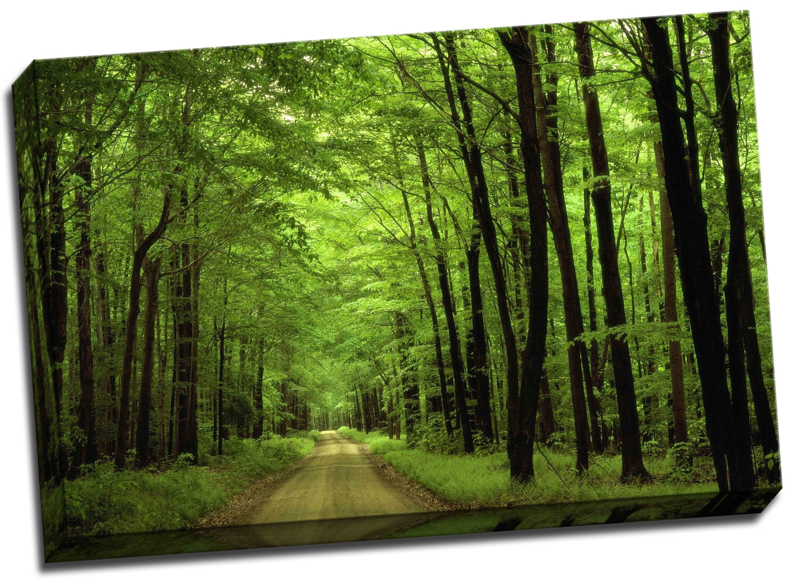 Panther Print Green Forest Canvas Woodlands Print Framed Picture 20X30 Inches A1